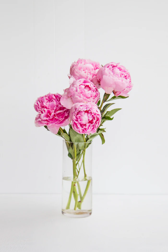 florist durban - pink peony bouquet