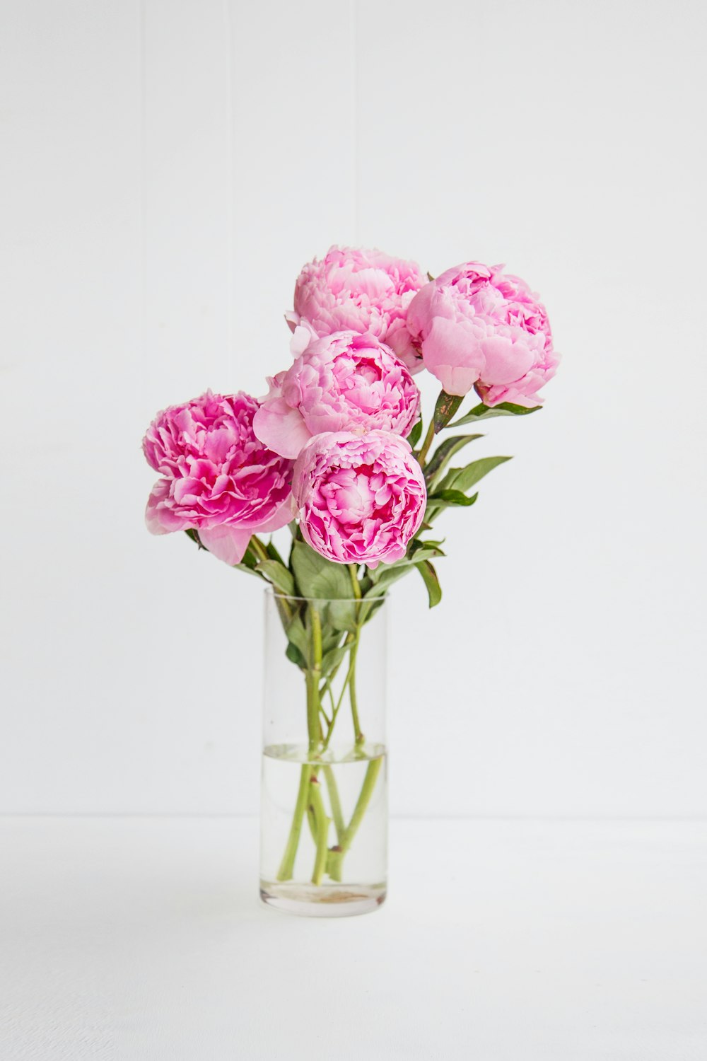 rosa Rosenblüten in der Vase
