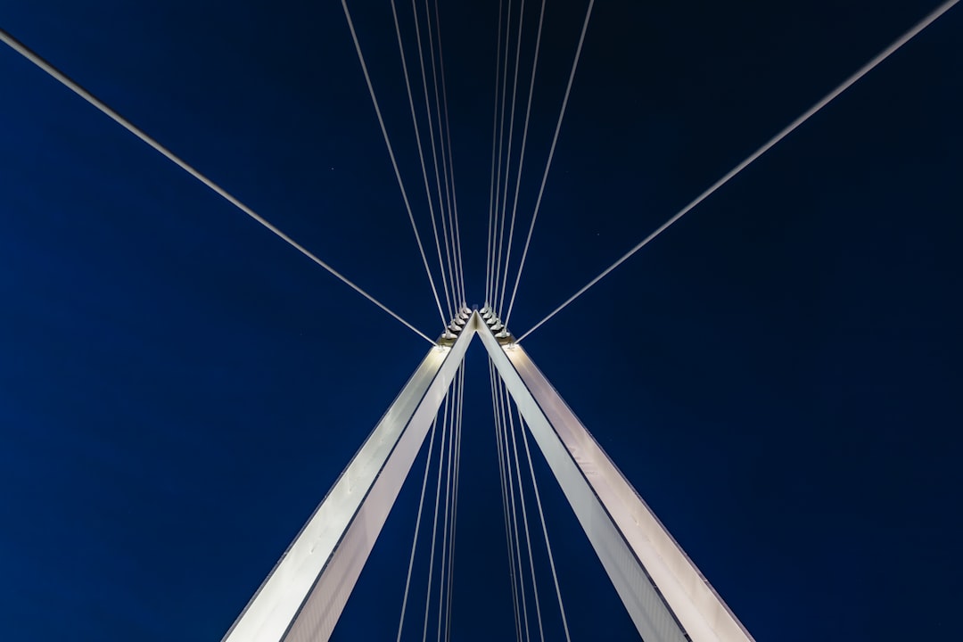 gray suspension bridge