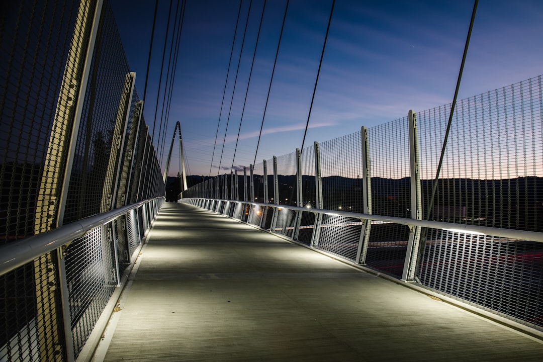 gray and brown bridge