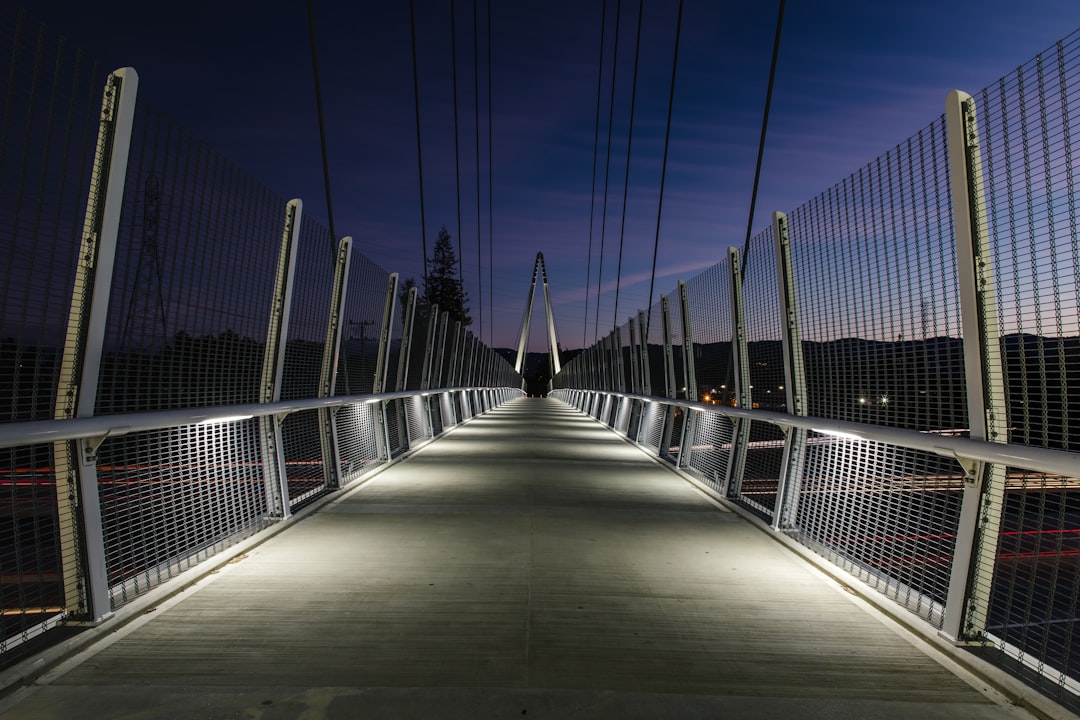 bridge with lights