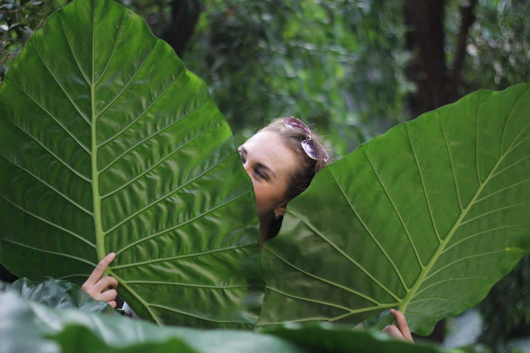 selective focus photography of woman holding taro plant leaves