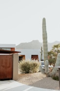 A modern residential area with desert landscaping featuring a large cactus and other desert plants. The background includes a mountain range under a pale, clear sky. The buildings have a minimalist design with earthy tones, and there is a car partially visible.