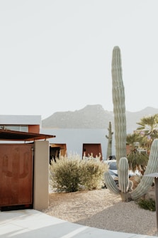 A modern residential area with desert landscaping featuring a large cactus and other desert plants. The background includes a mountain range under a pale, clear sky. The buildings have a minimalist design with earthy tones, and there is a car partially visible.
