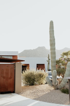 A modern residential area with desert landscaping featuring a large cactus and other desert plants. The background includes a mountain range under a pale, clear sky. The buildings have a minimalist design with earthy tones, and there is a car partially visible.