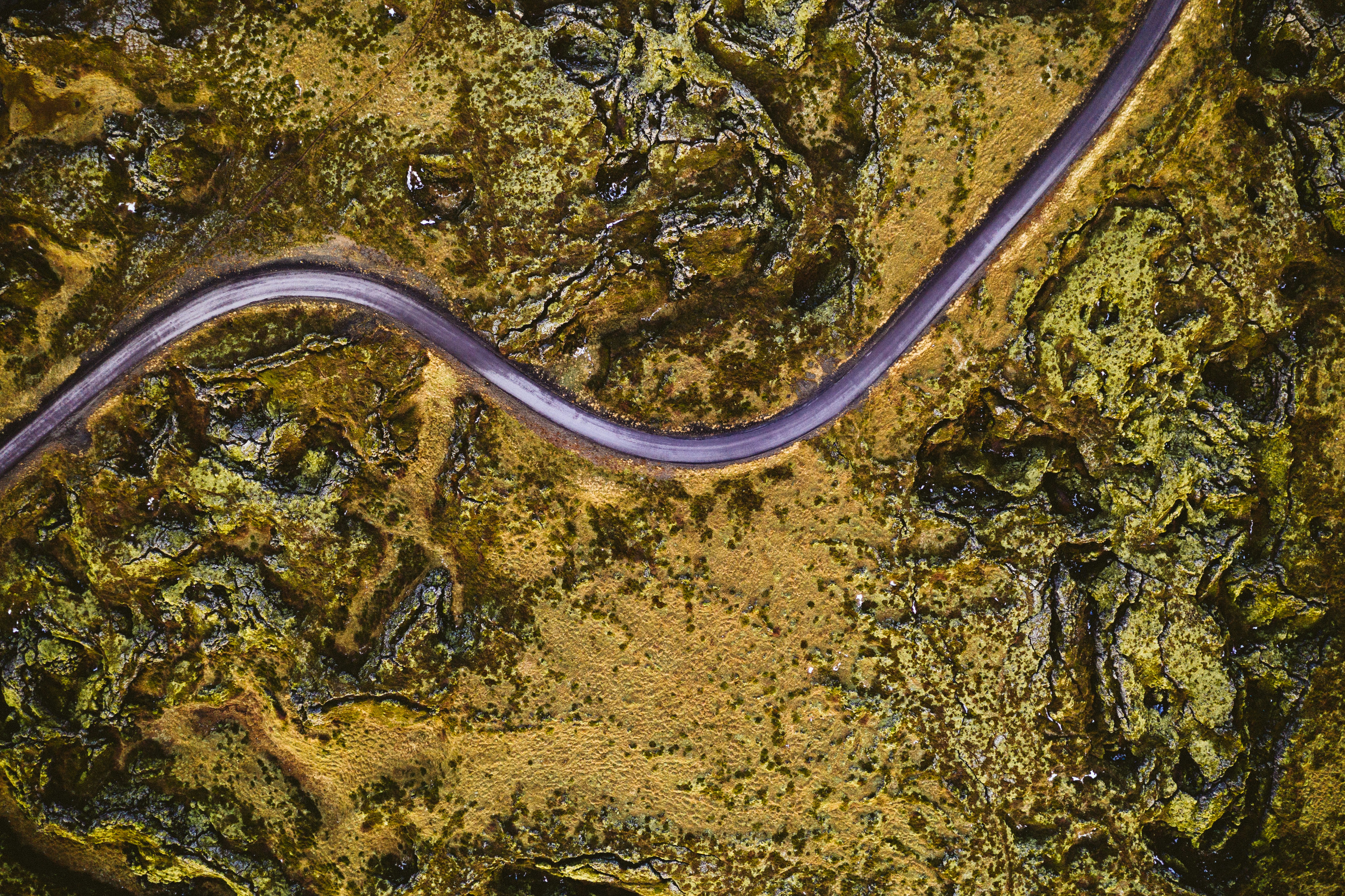 Public Fascination and Media Buzz (image credits: unsplash)