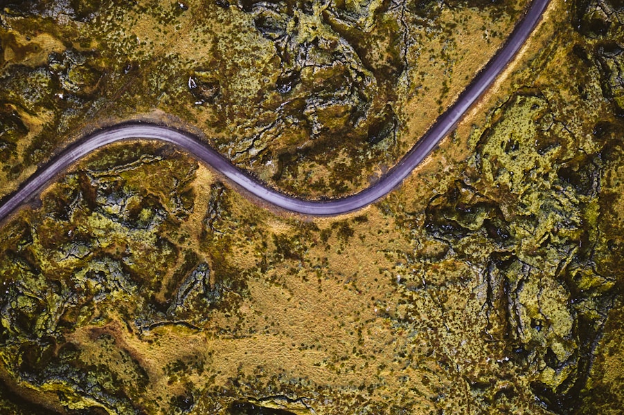 Mansonella ozzardi: simptomi, prenos i efikasno liječenje parazitske infekcije nematodom iz Afrike