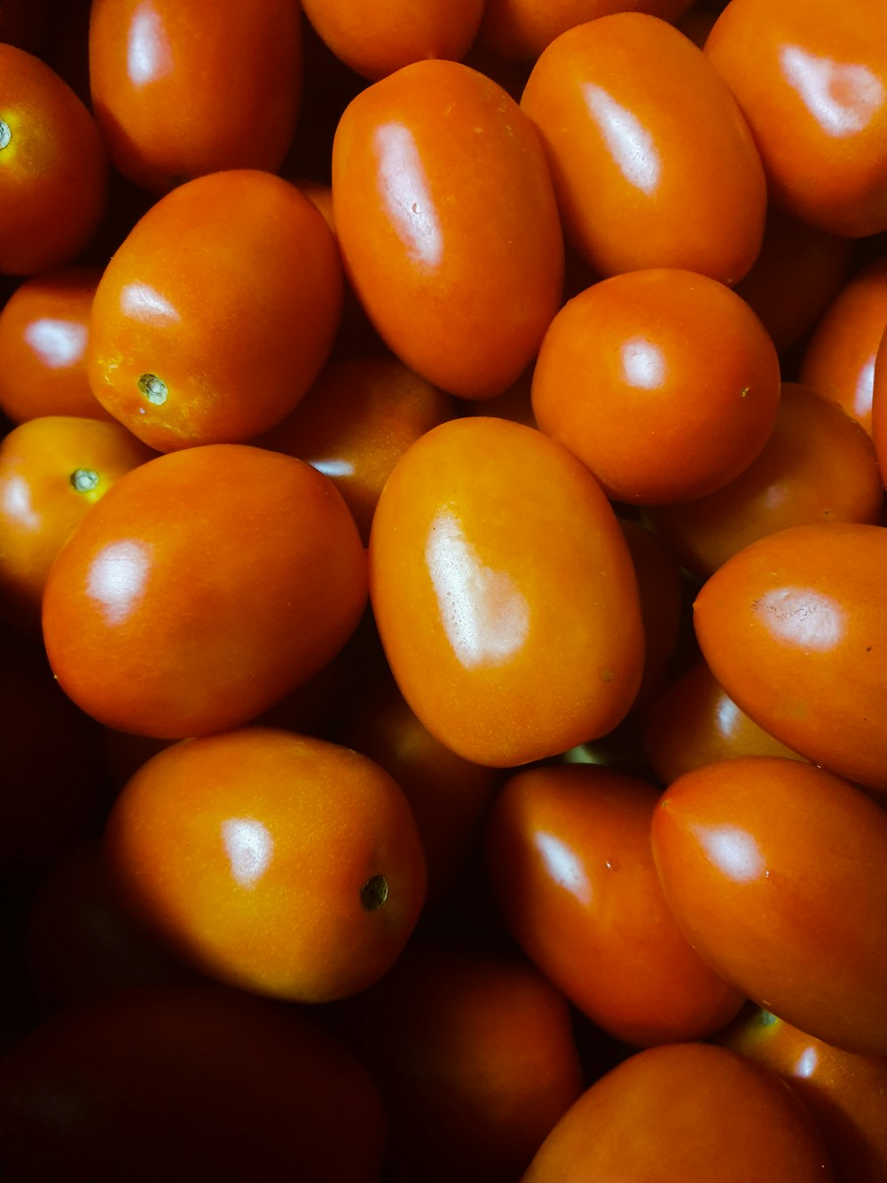 fruits de la tomate