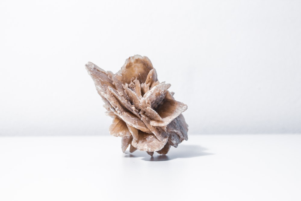 a piece of wood sitting on top of a white table