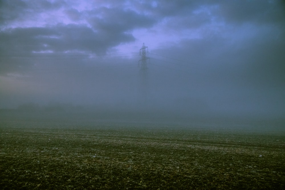 grass field with fogs