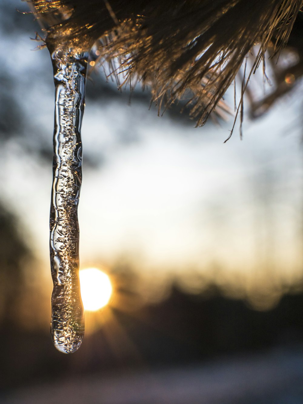 icicle