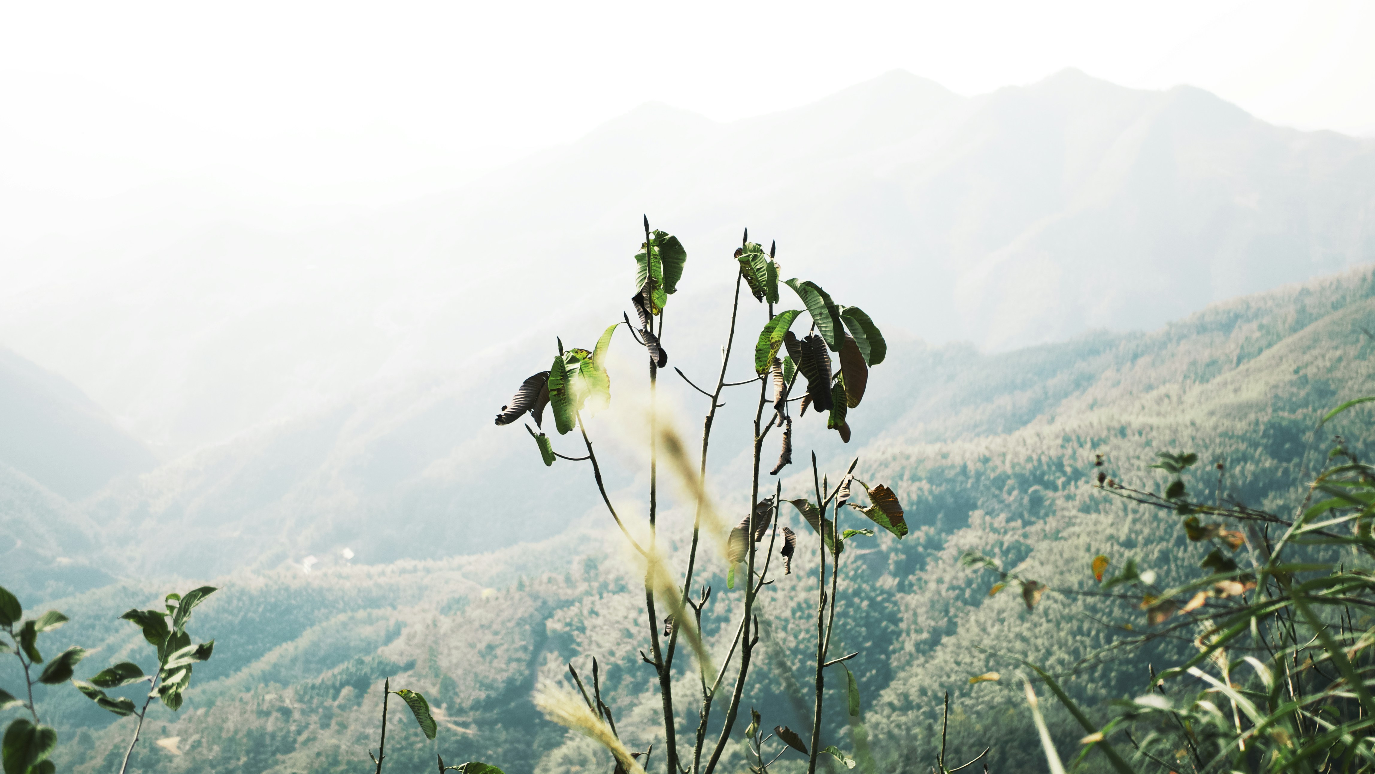 Photo by xiexianghua