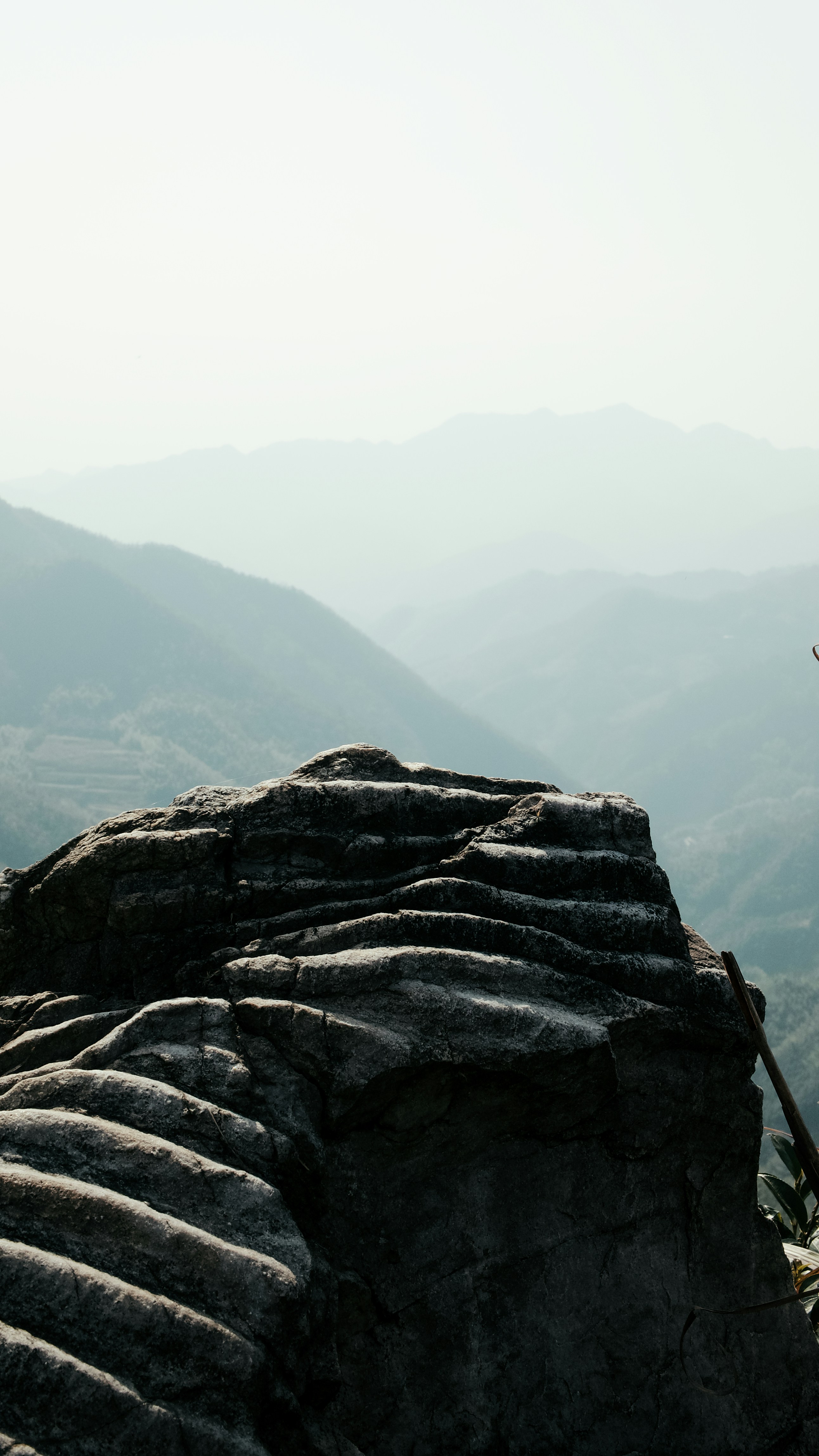 Photo by xiexianghua