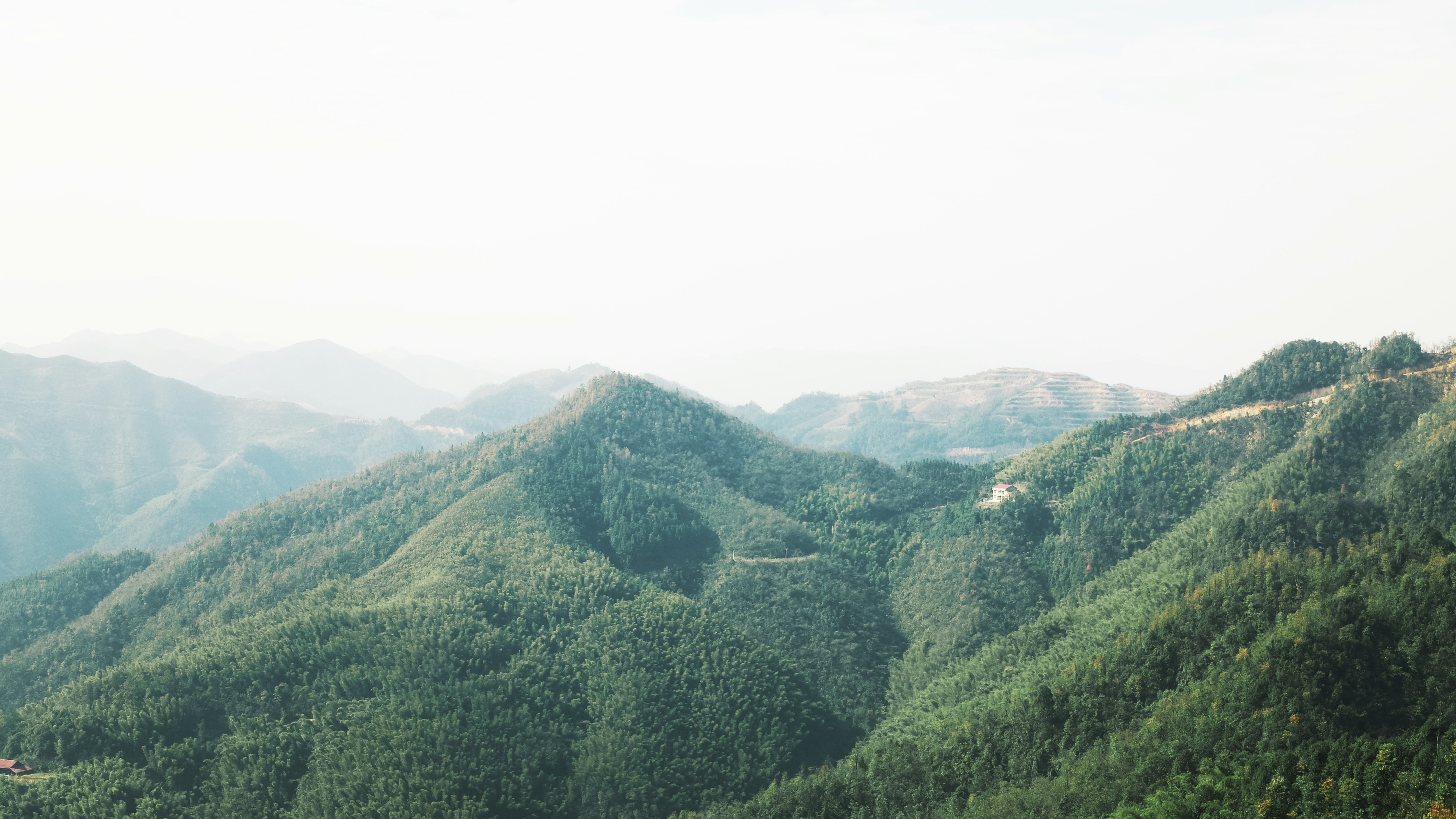 Photo by xiexianghua