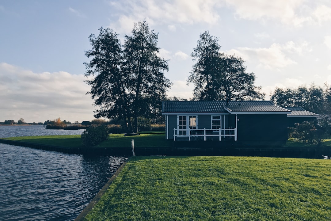 black and white wooden house beside tree and body of water during daytime