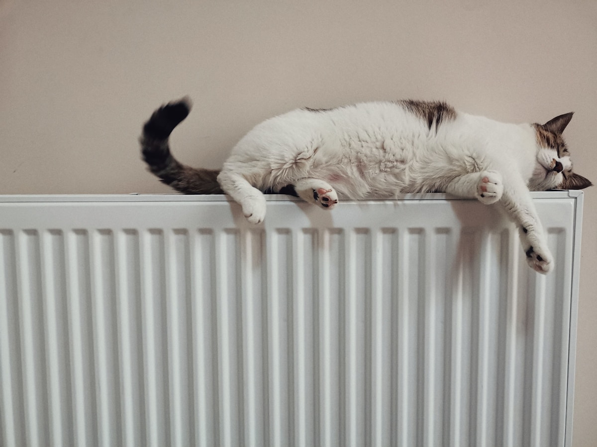 Central heating installation image background image