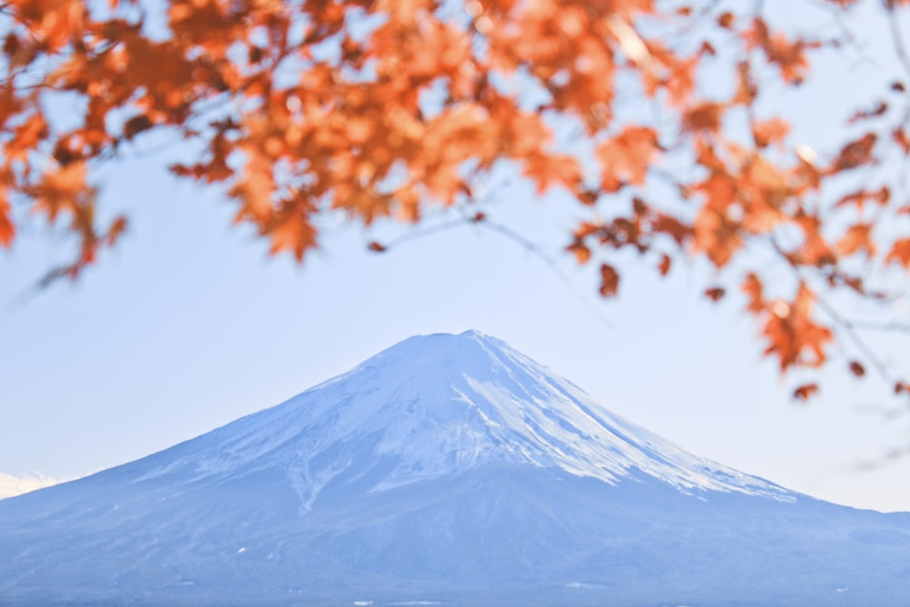 Mt. Fuji