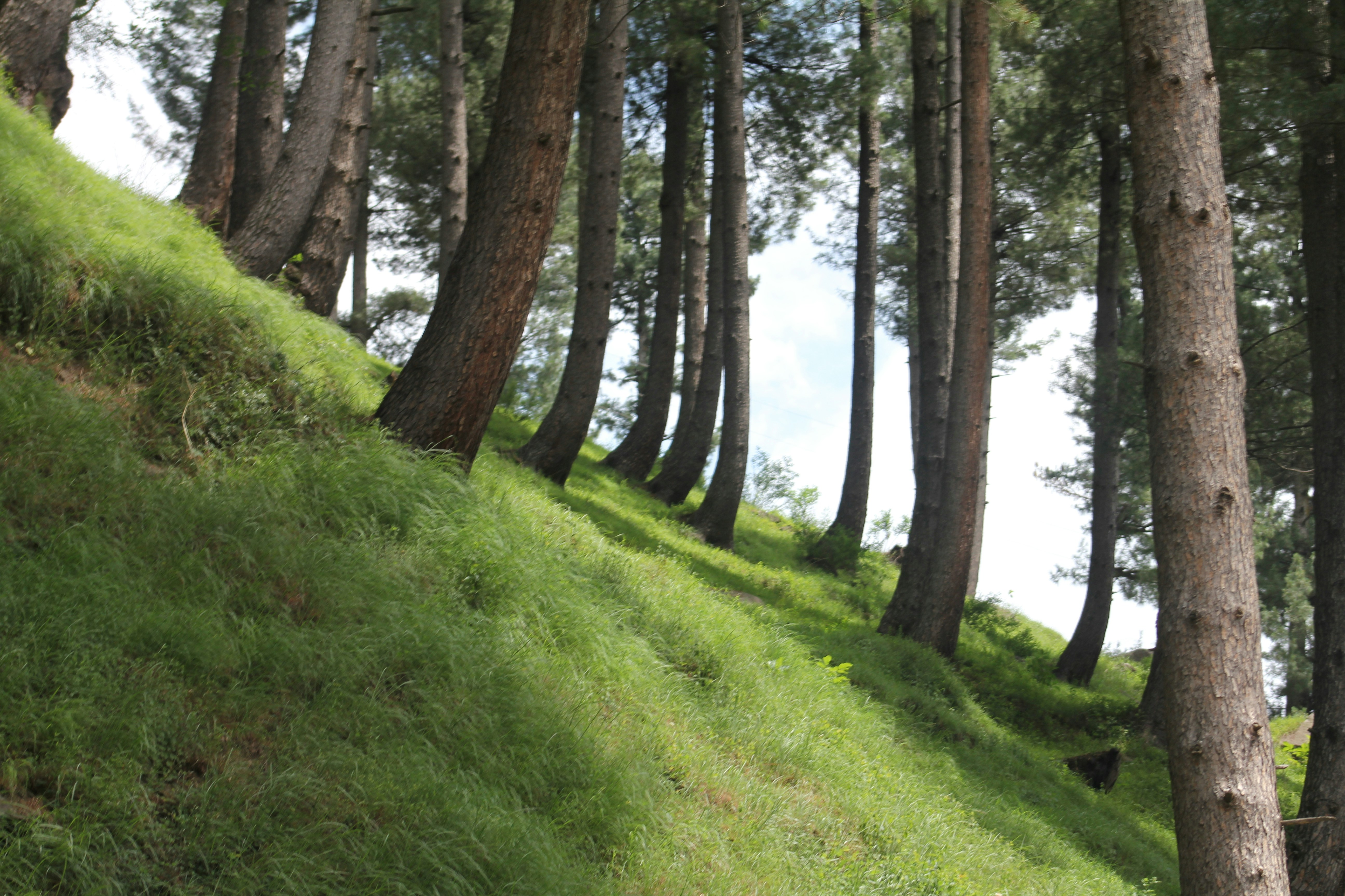 Photo by asadullahk9