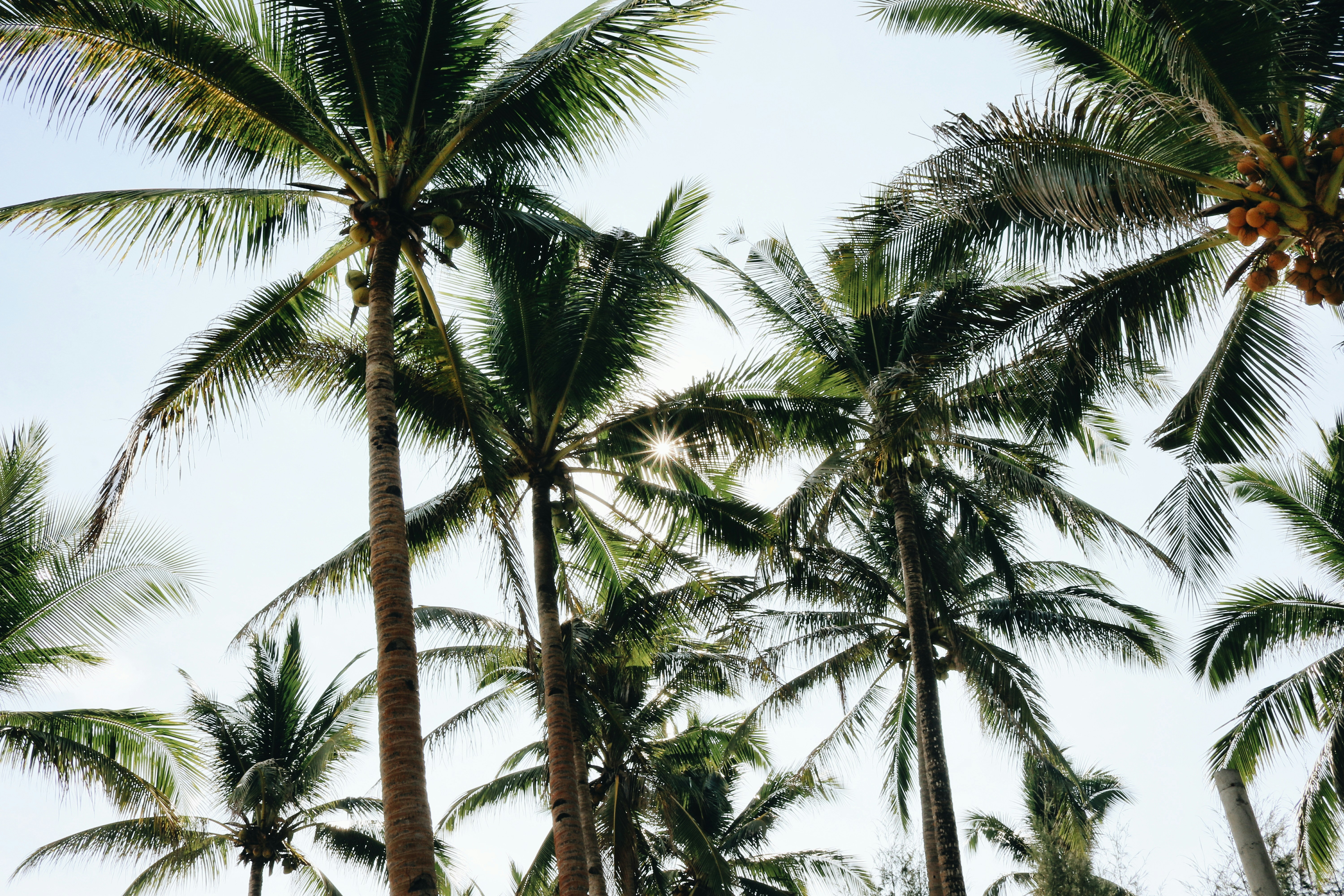 Photo by kristinezeshalyn