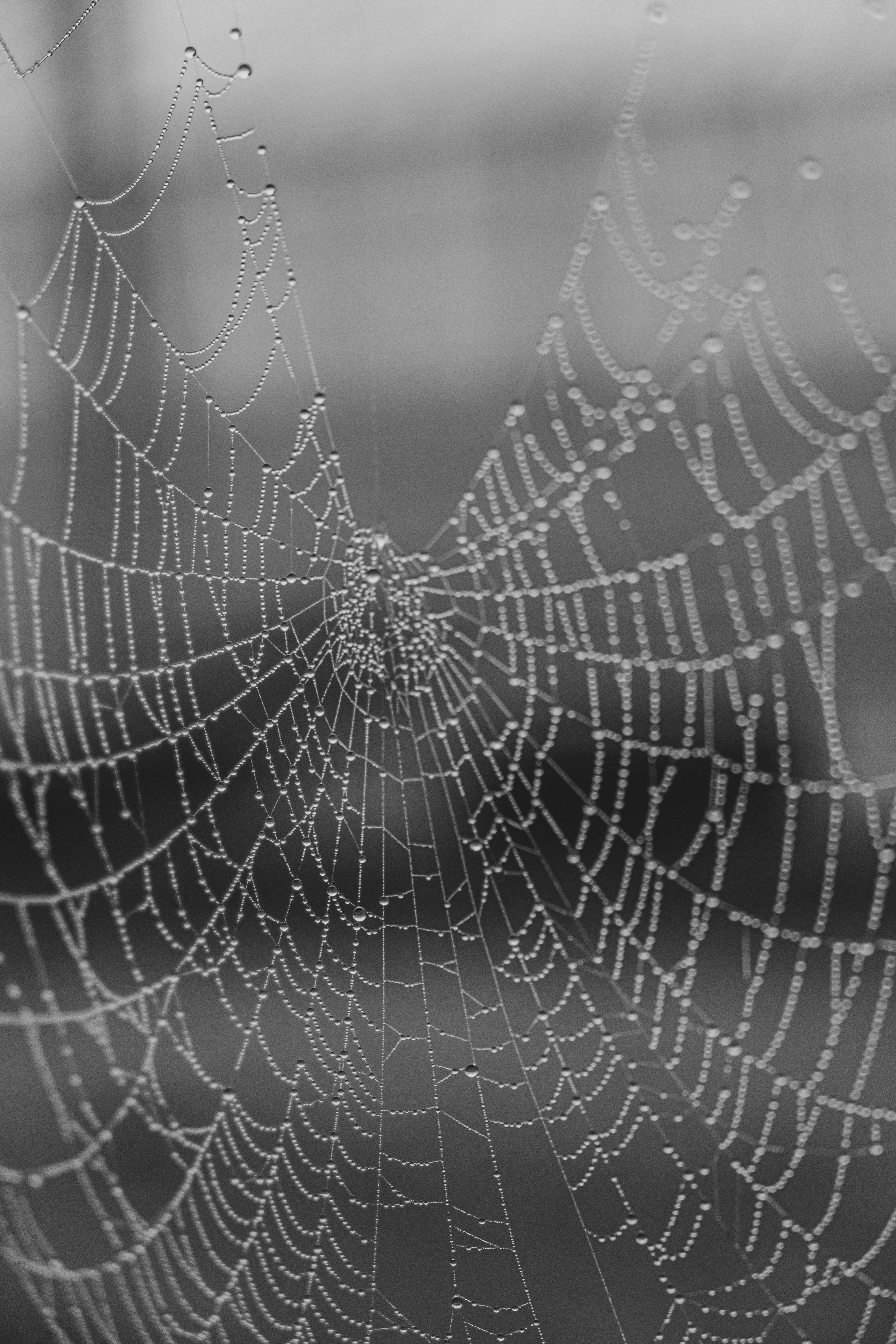 Prochains rendez-vous et nouvelles de l'écosystème Vivre reliés : à vos agendas pour débuter 2021