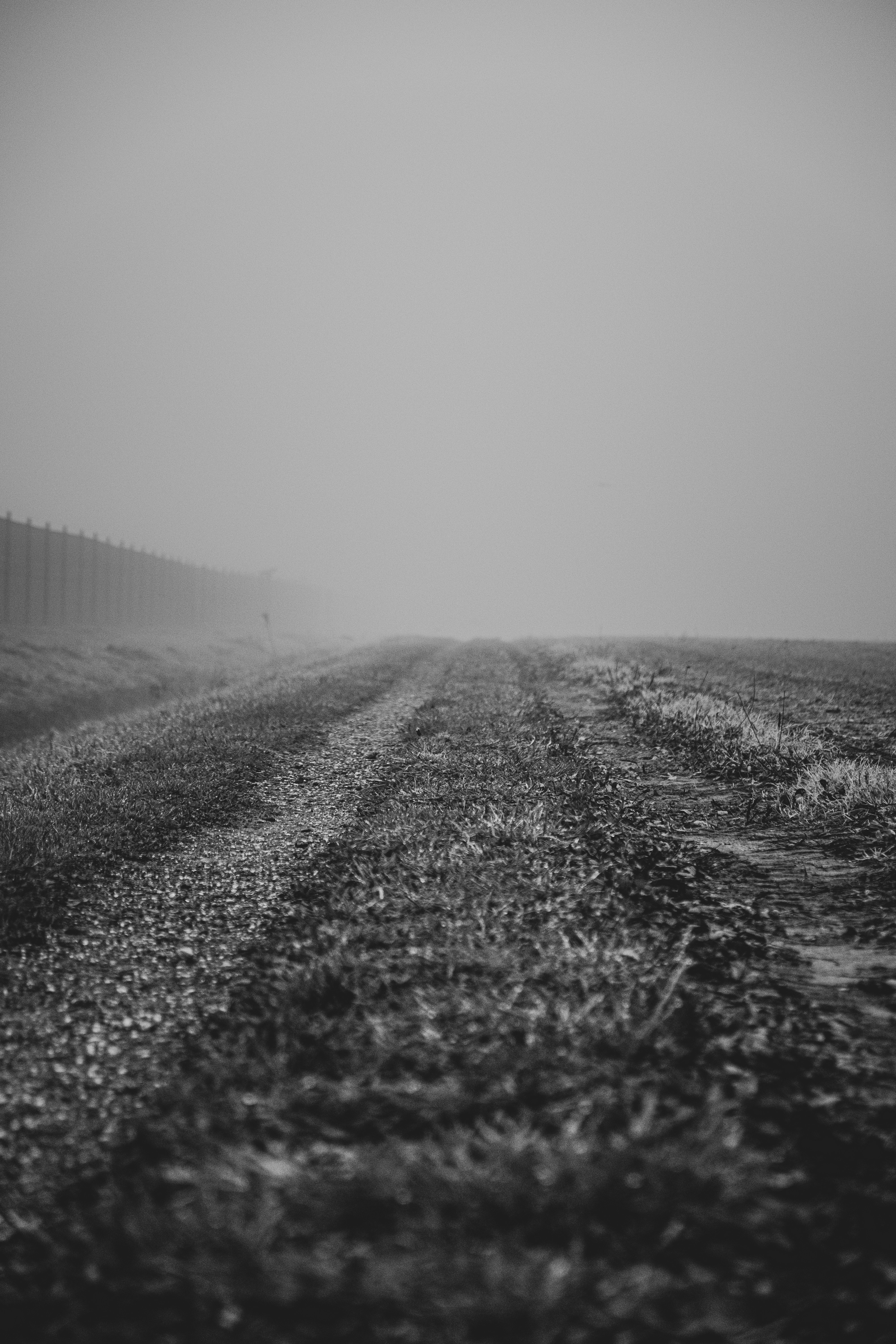 Photo by moritz_photography