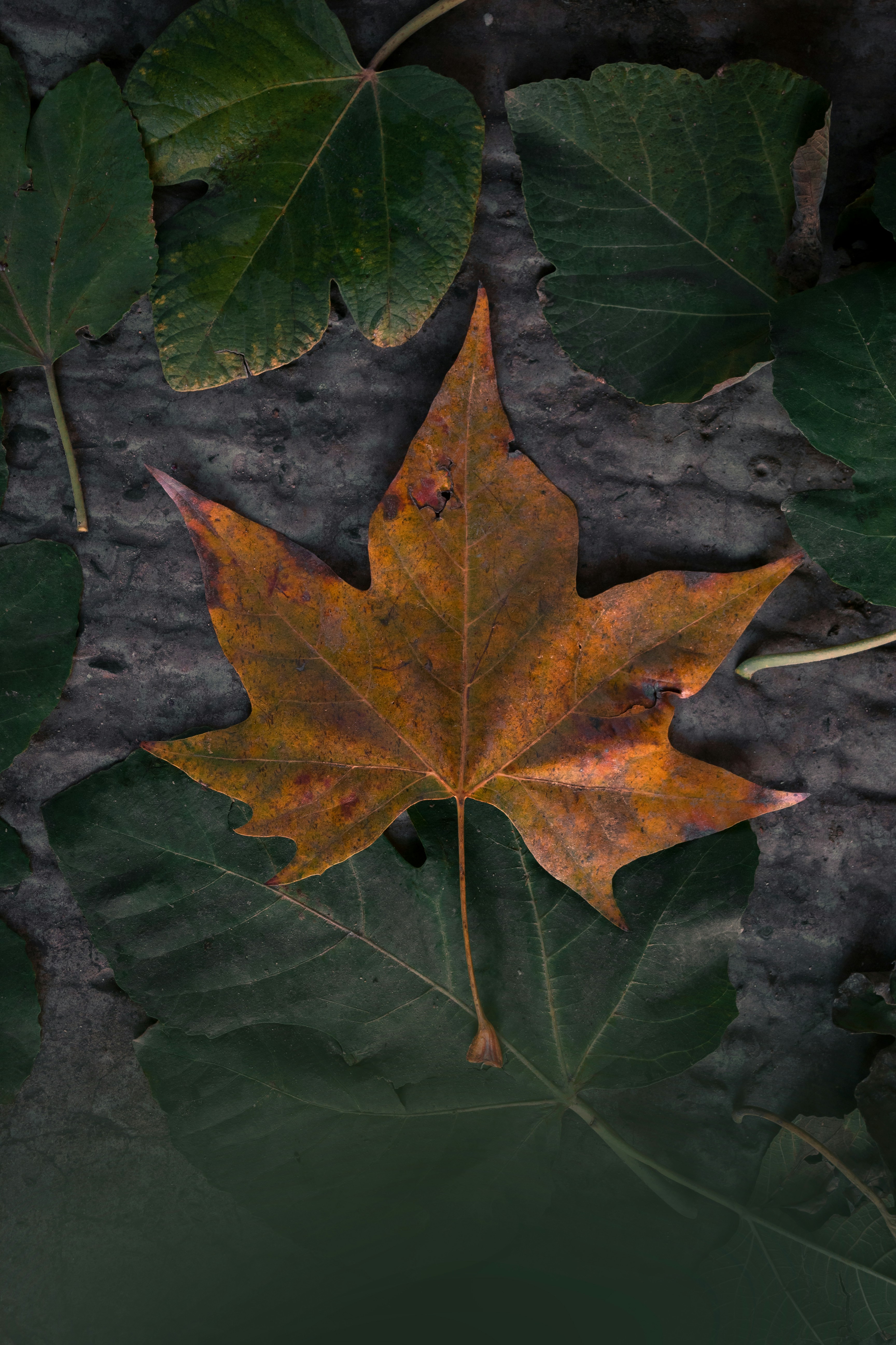 Photo by abdelalliyousfi