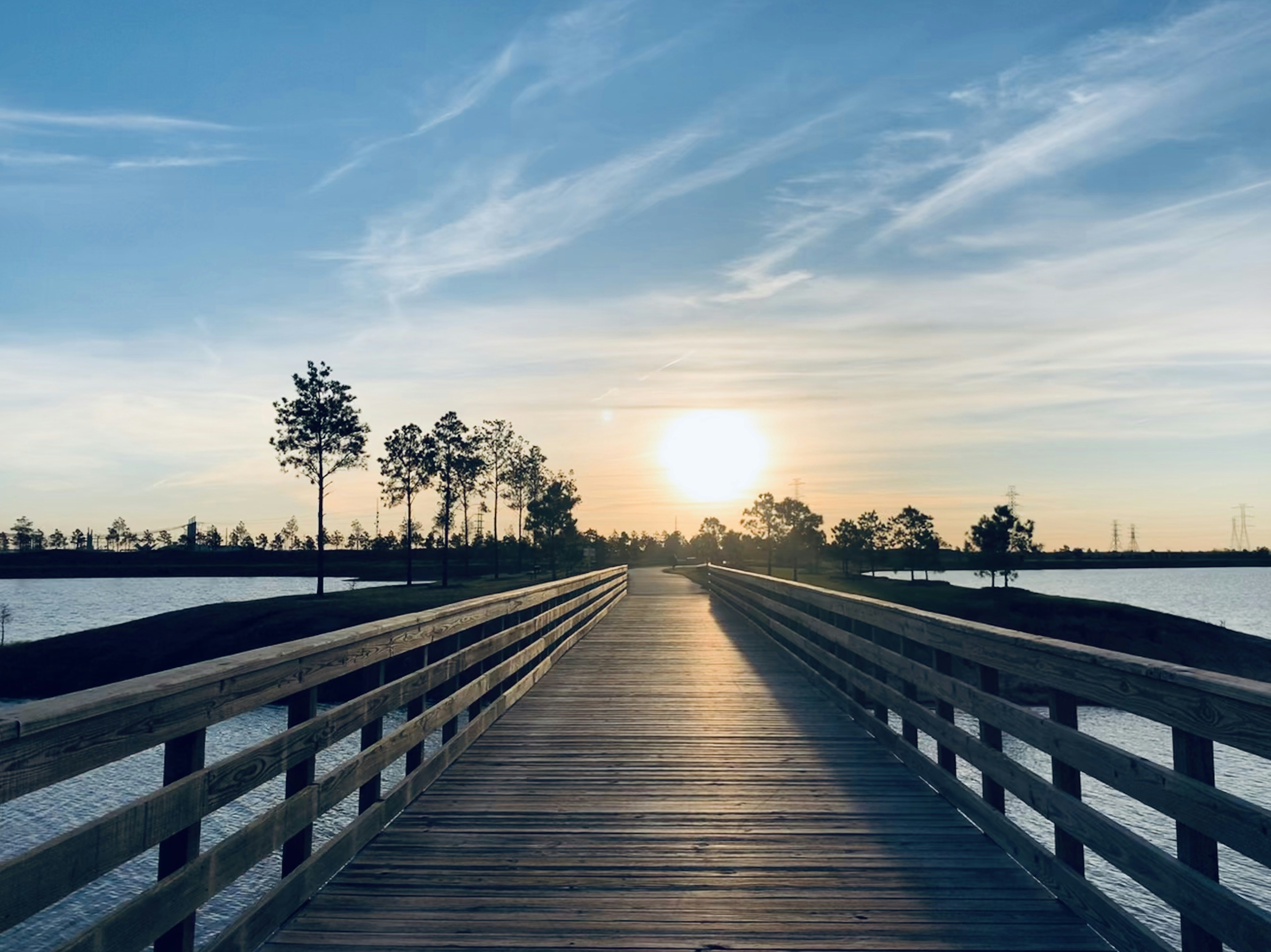 Photo by cami_williams