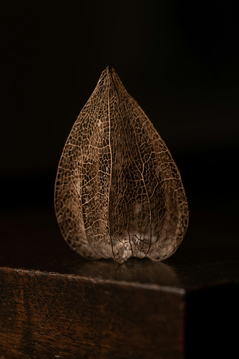 a dried up leaf sitting on top of a wooden table