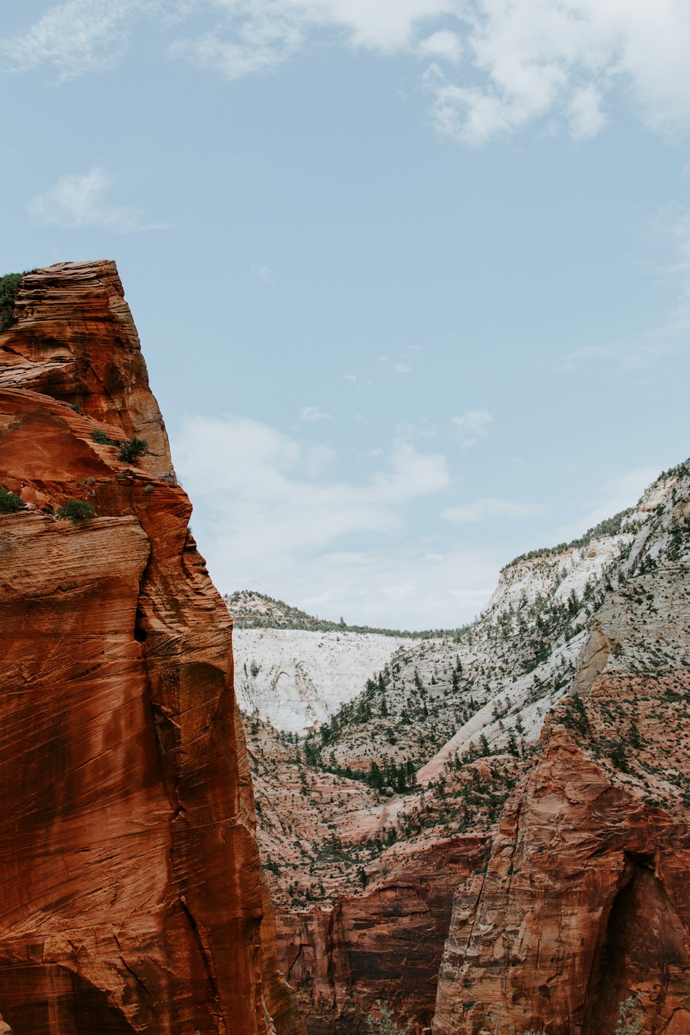 a person standing on top of a cliff