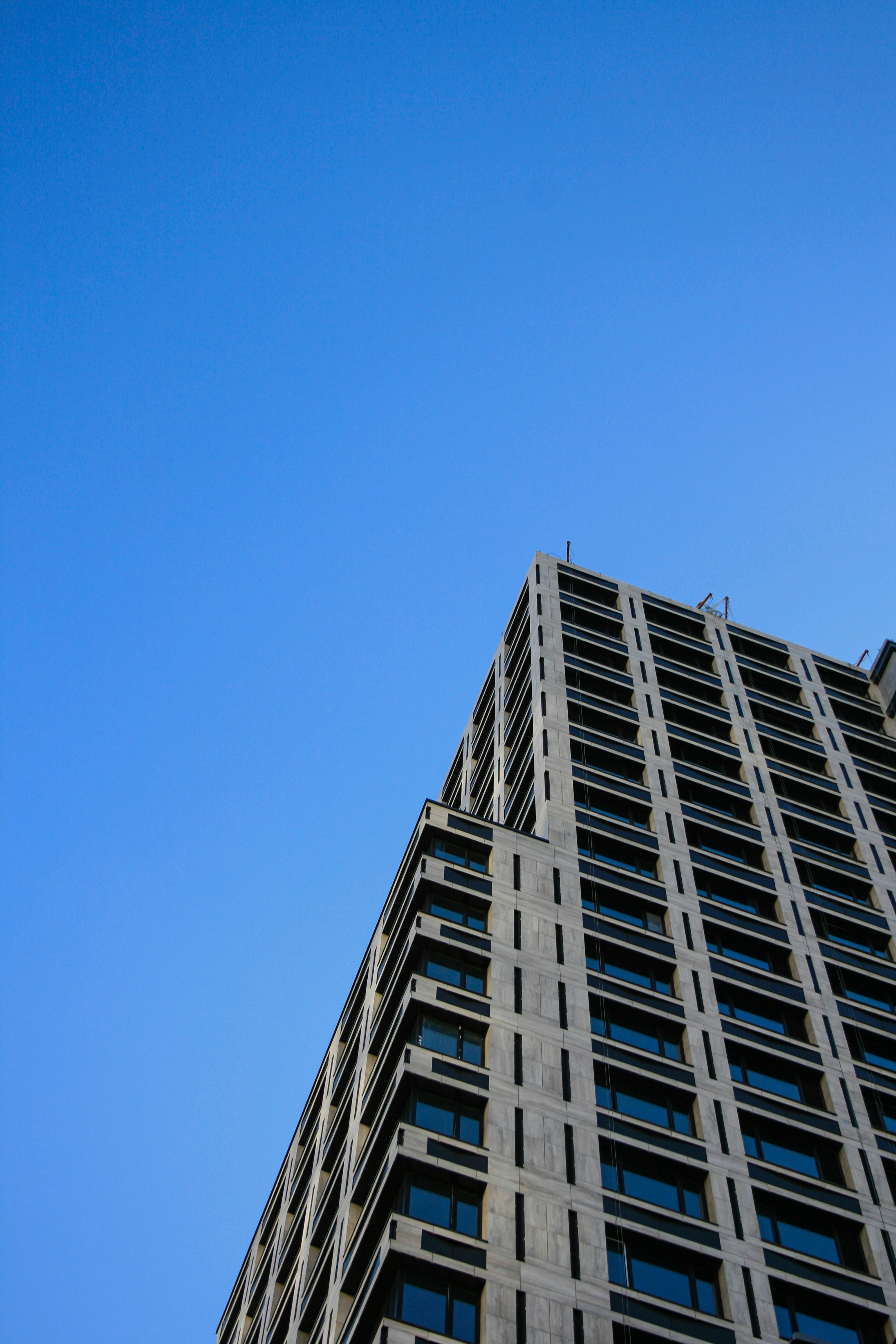 Photo by zhashkevych