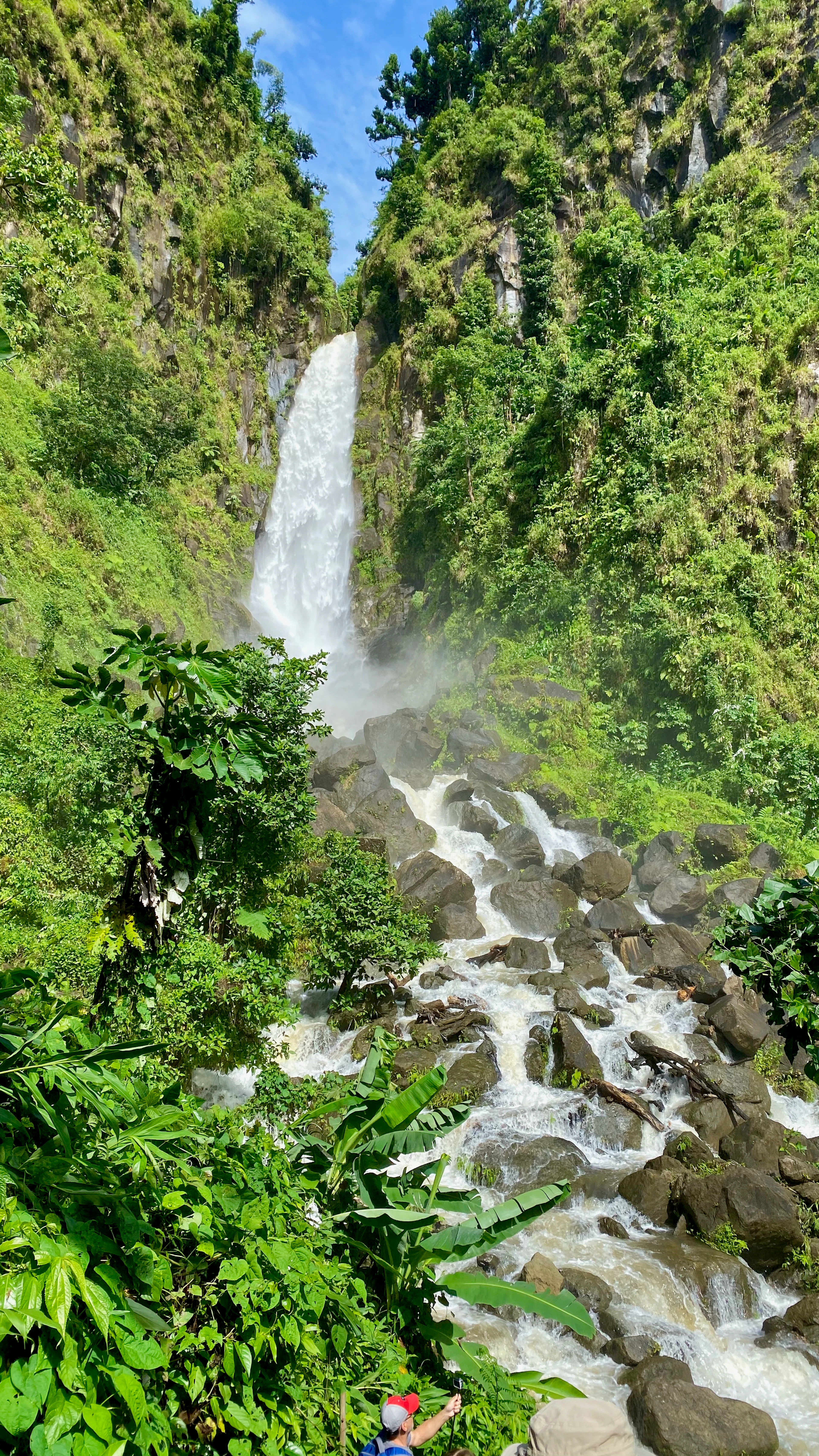 Dominica landscape