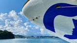 A large cruise ship with a prominent blue and white logo on its bow is docked in a serene harbor. The background features a clear blue sky with fluffy clouds and lush green hills. Several smaller boats are moored in the distance on the calm blue water.