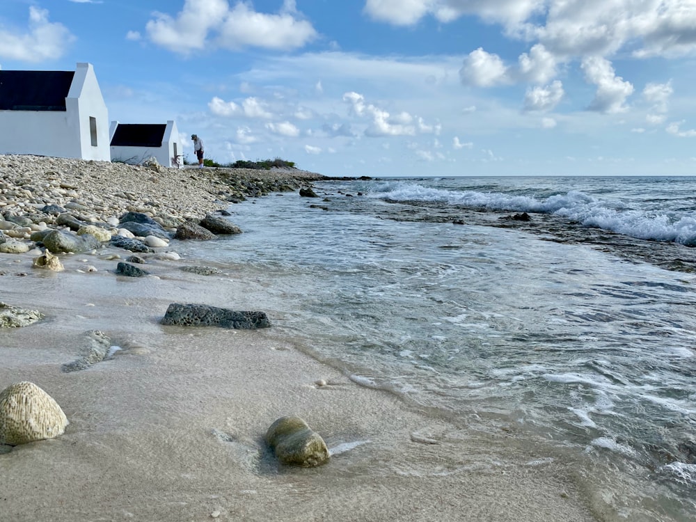 houses on seashore during day