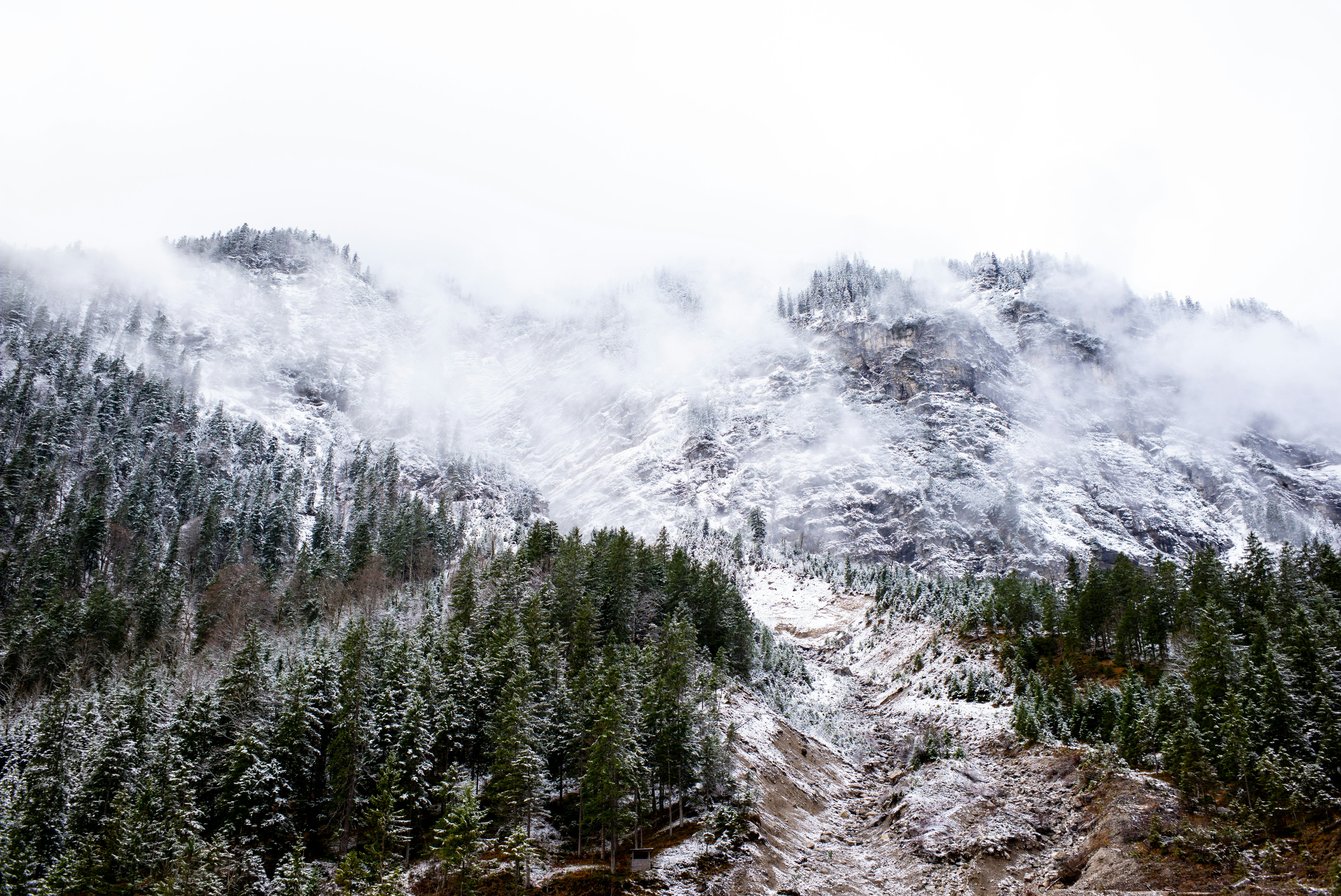 Photo by svenschlager