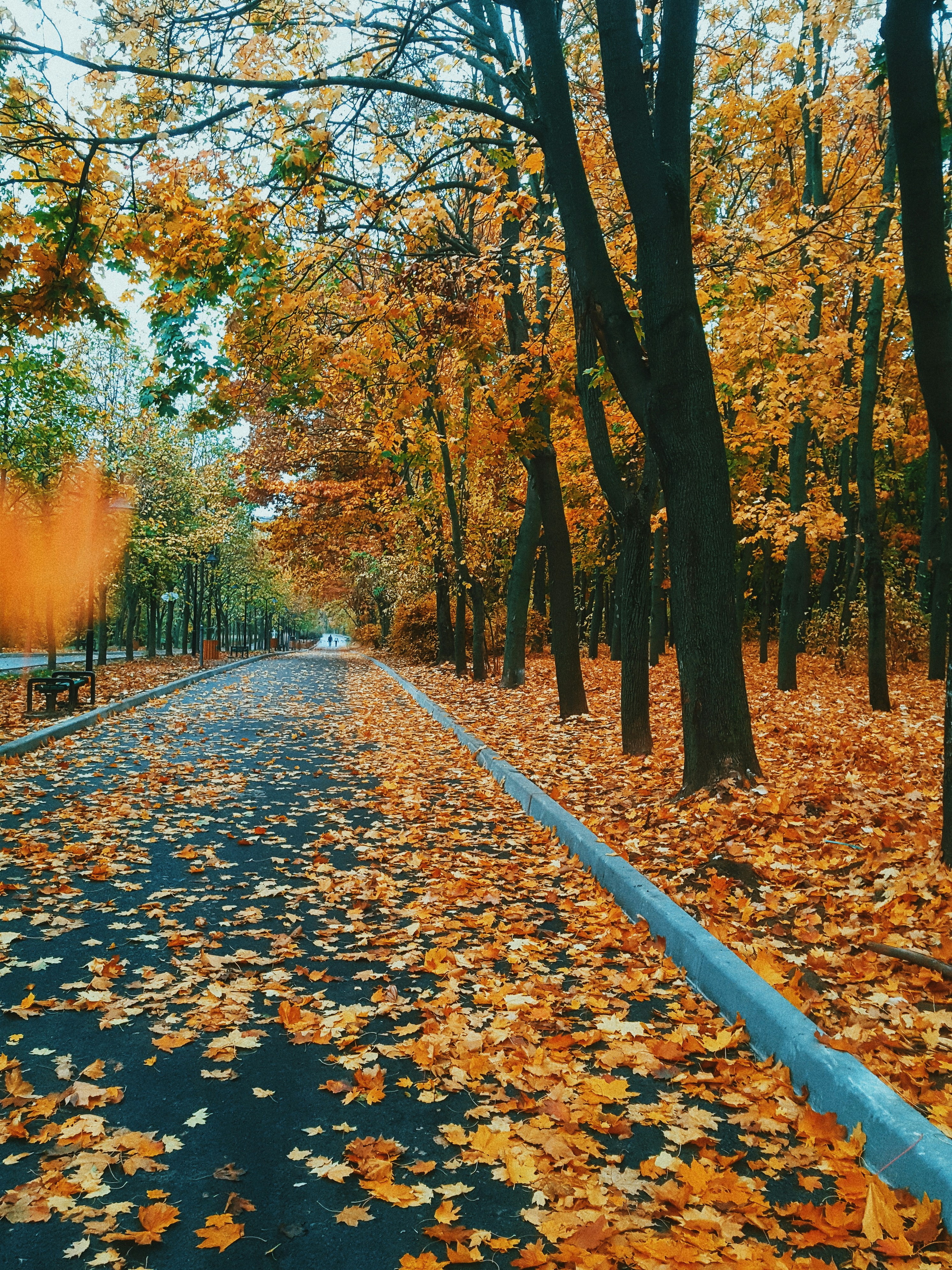 Photo by nasteagangal