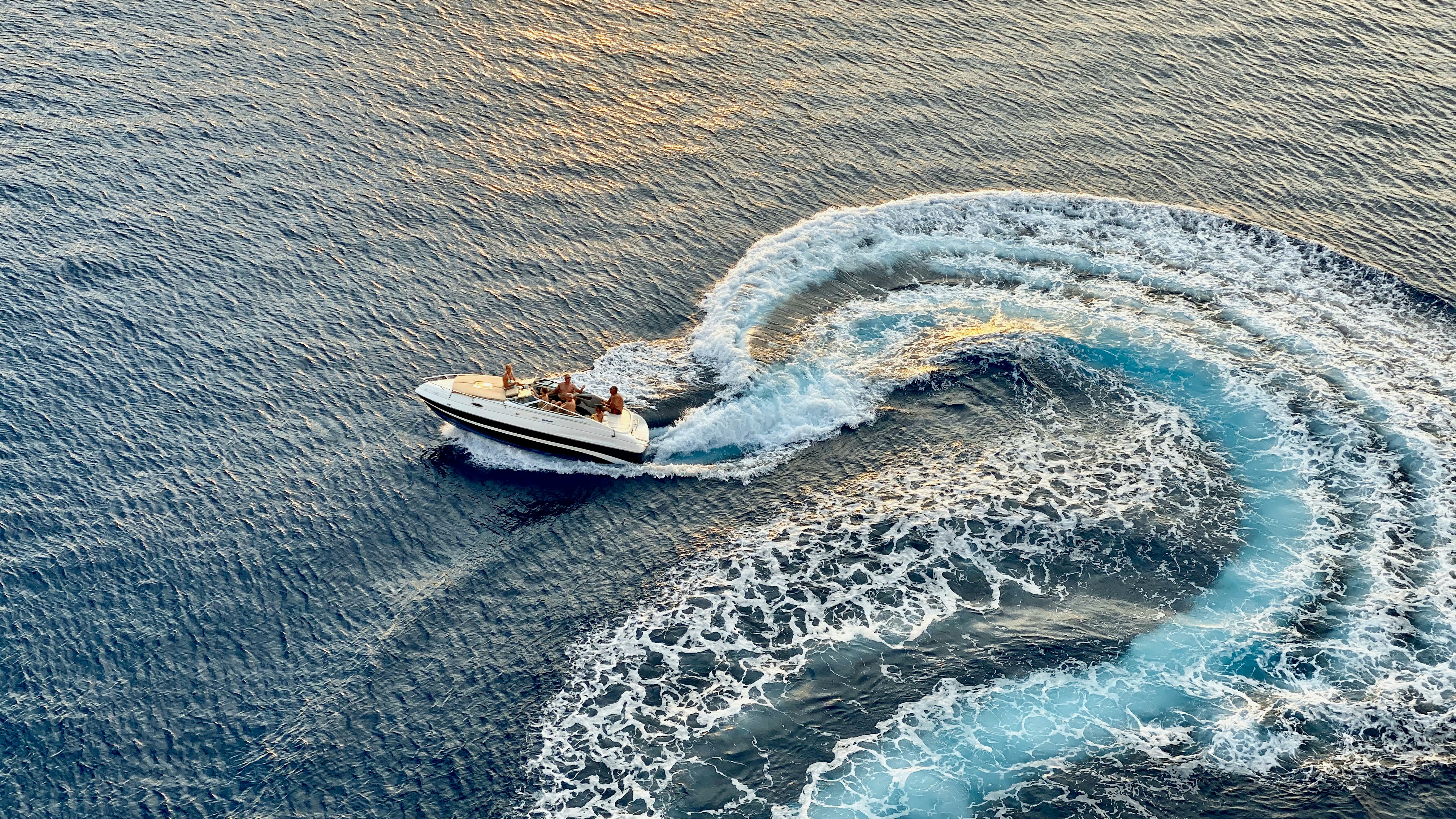 Boat travelling down a palm-lined canal