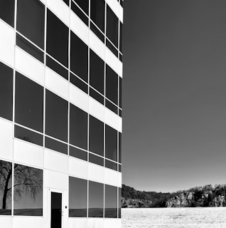 gray-scale photo of building