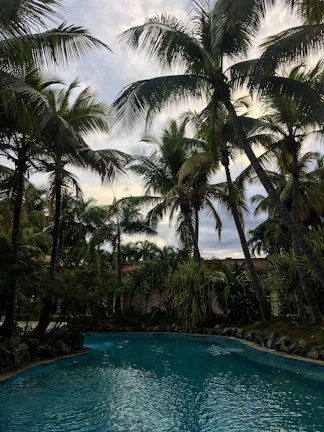 A sparkling blue residential pool under tropical palm trees at sunrise.