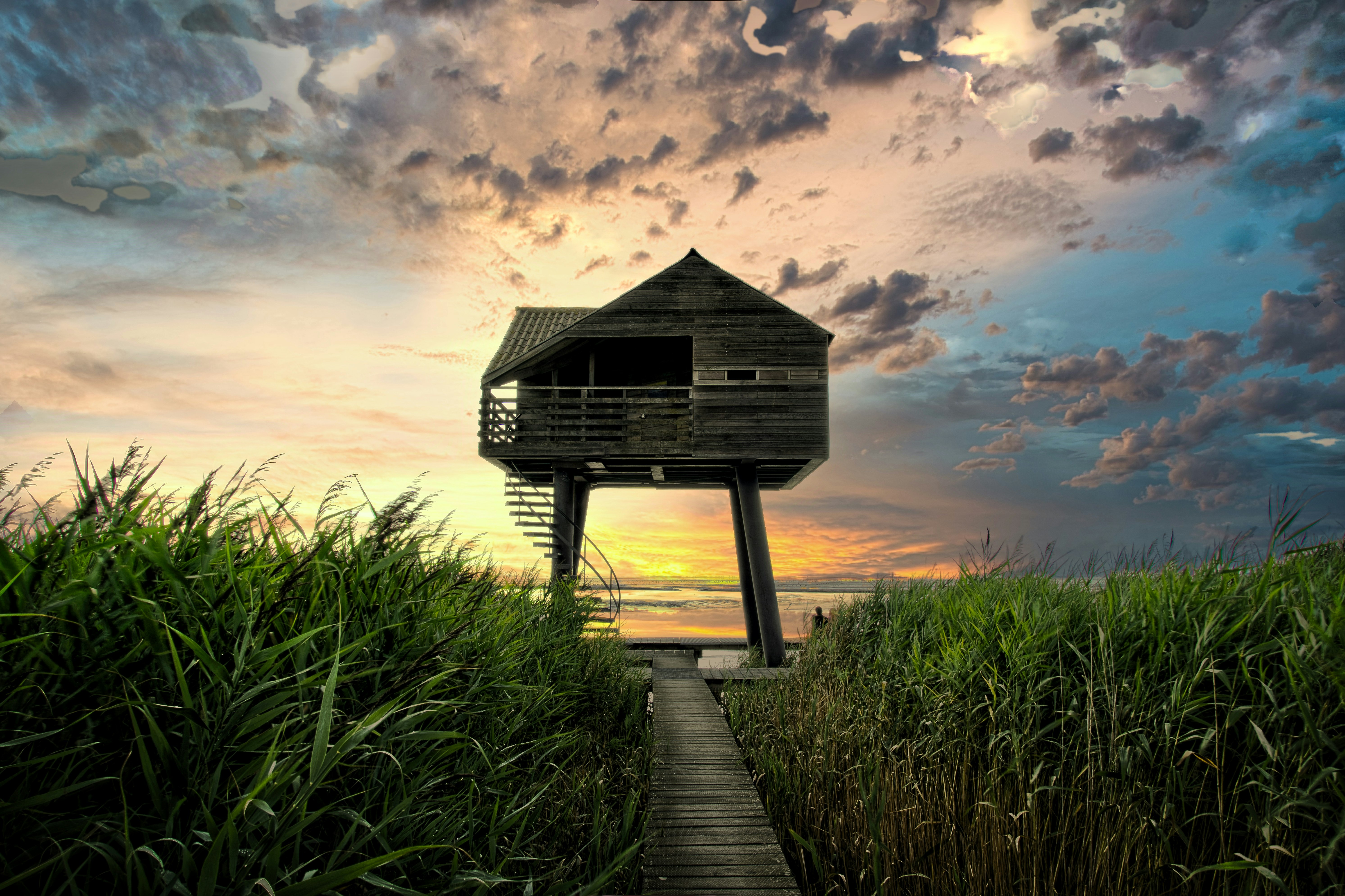 footbridge through brown wooden house