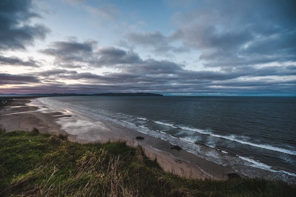 seashore and body of water