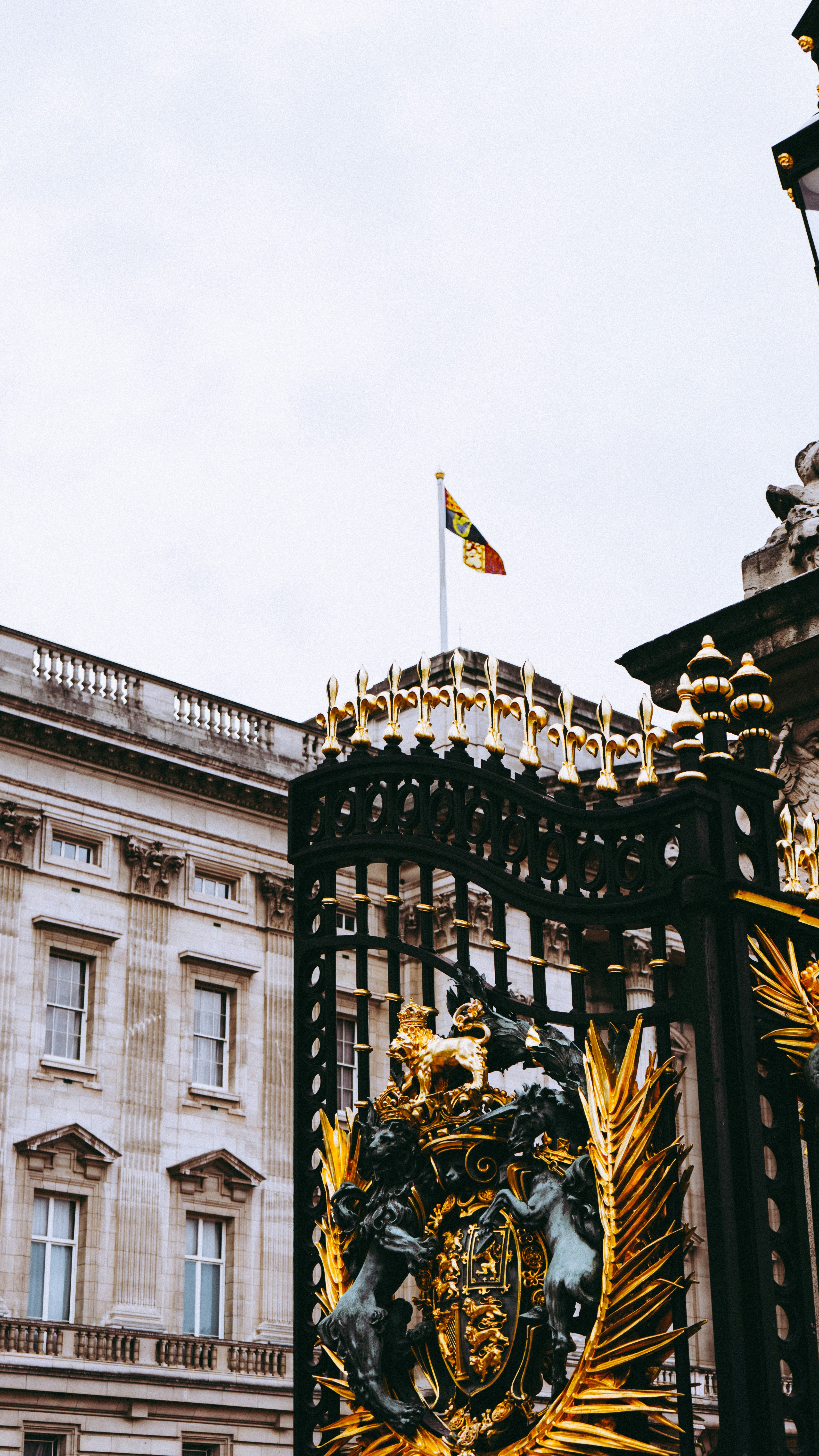 Photo by virussinside