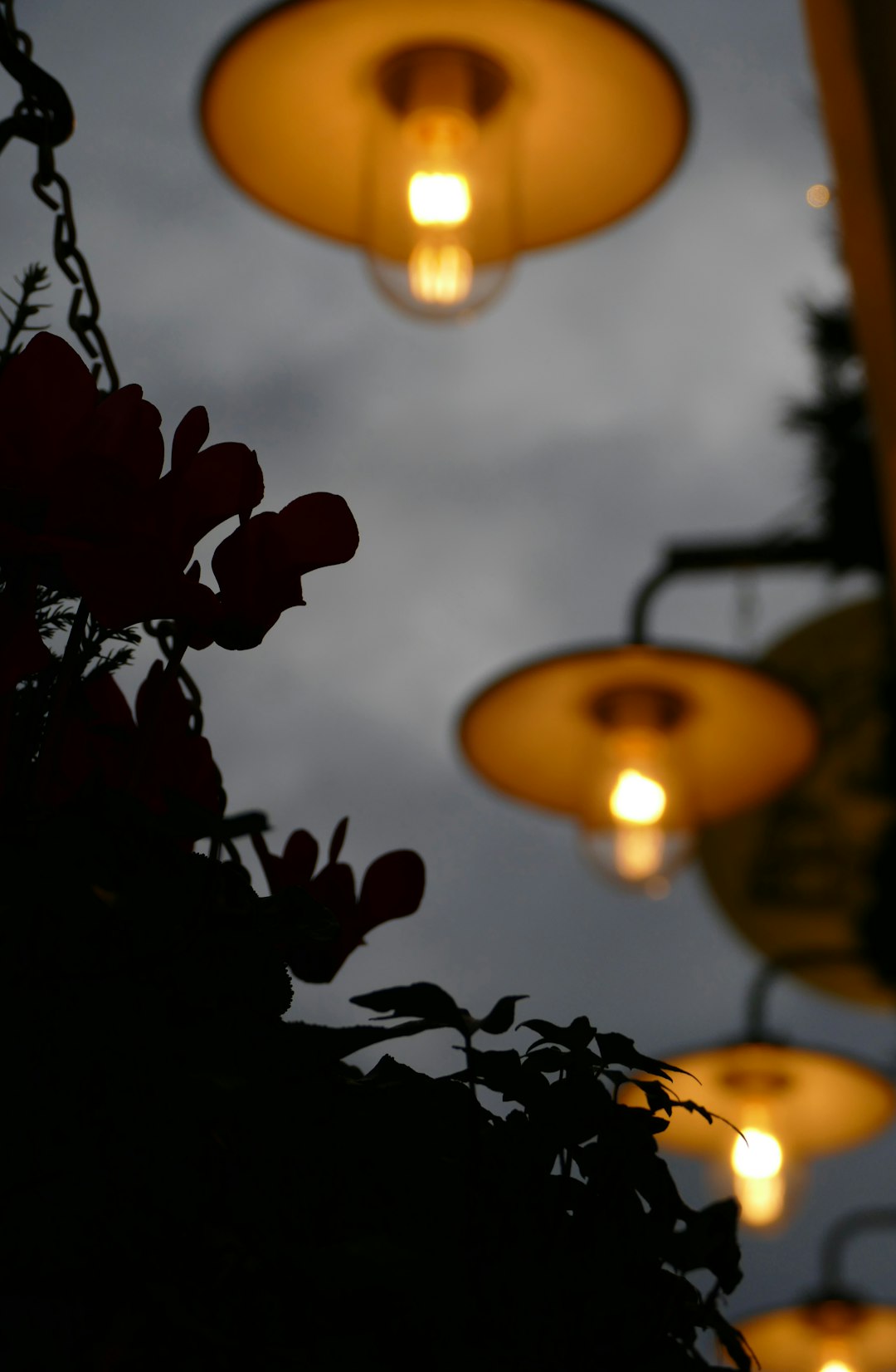 yellow and black pendant lamps