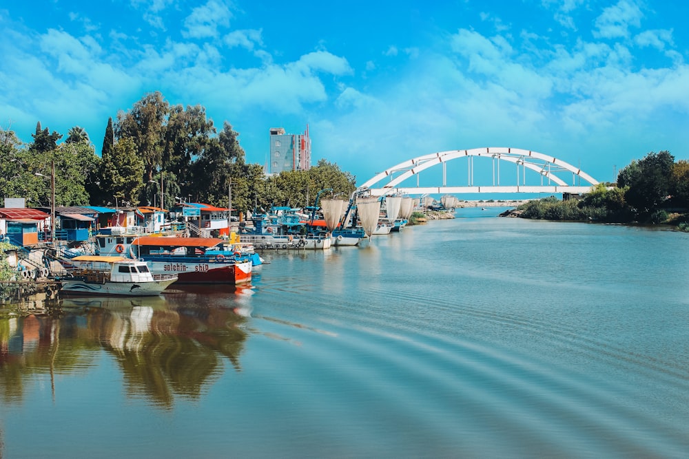 white bridge scenery