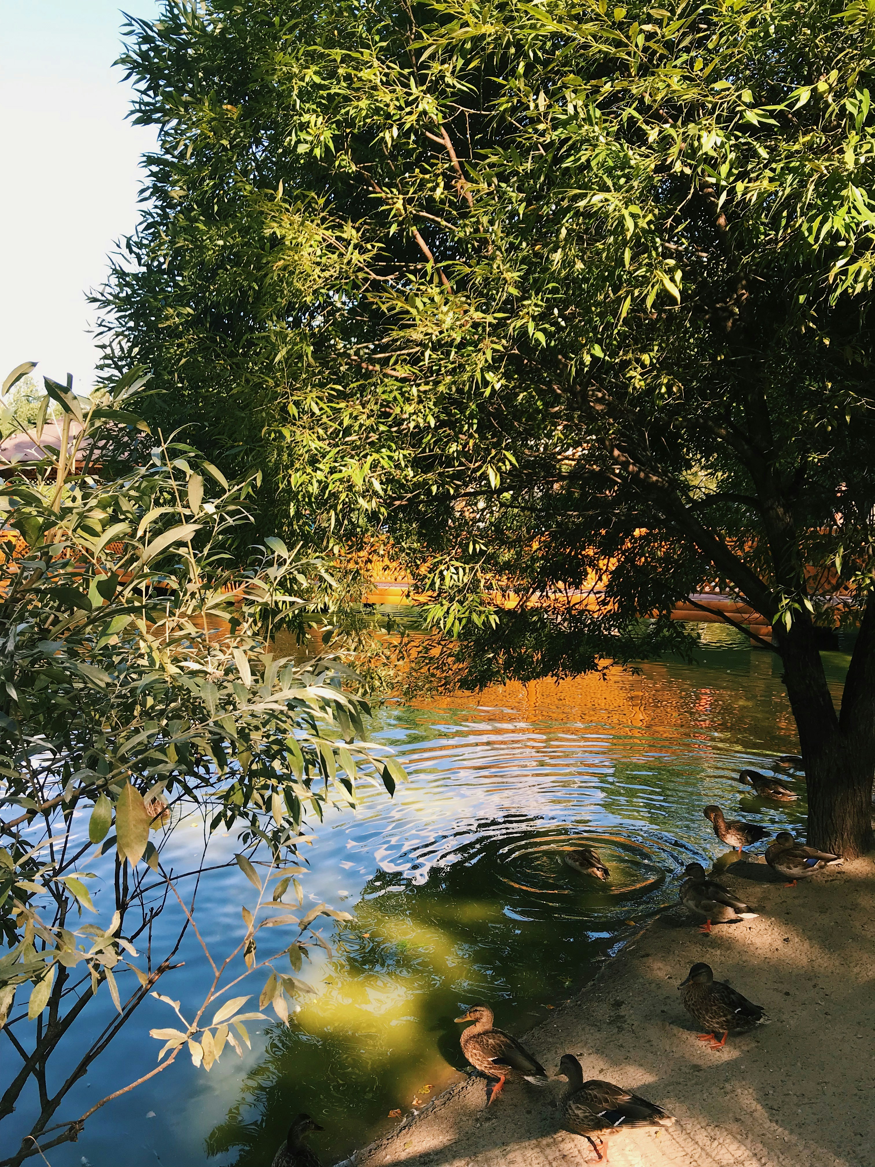 Photo by kristinajamschikova