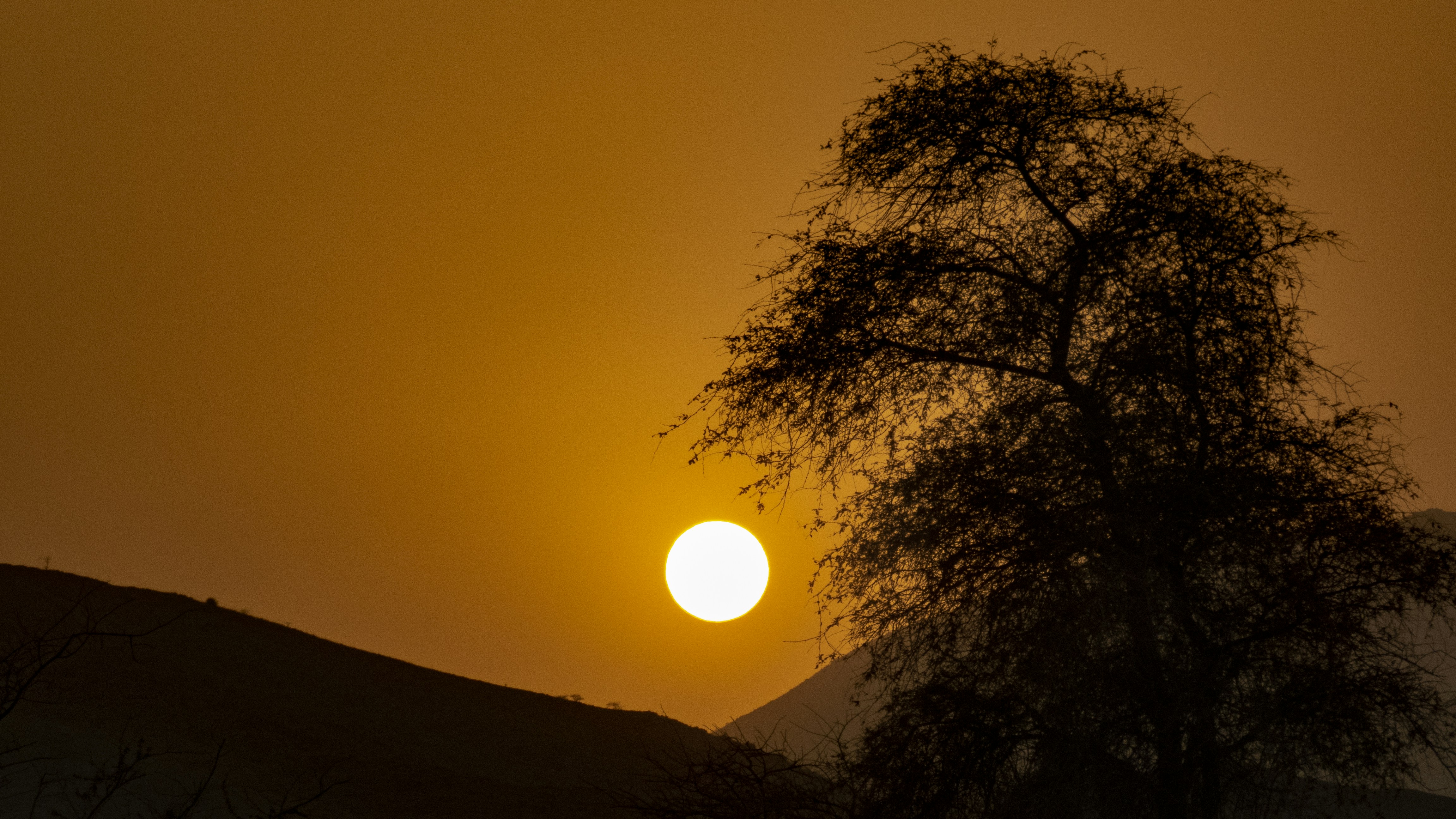 Photo by alialhamaddd