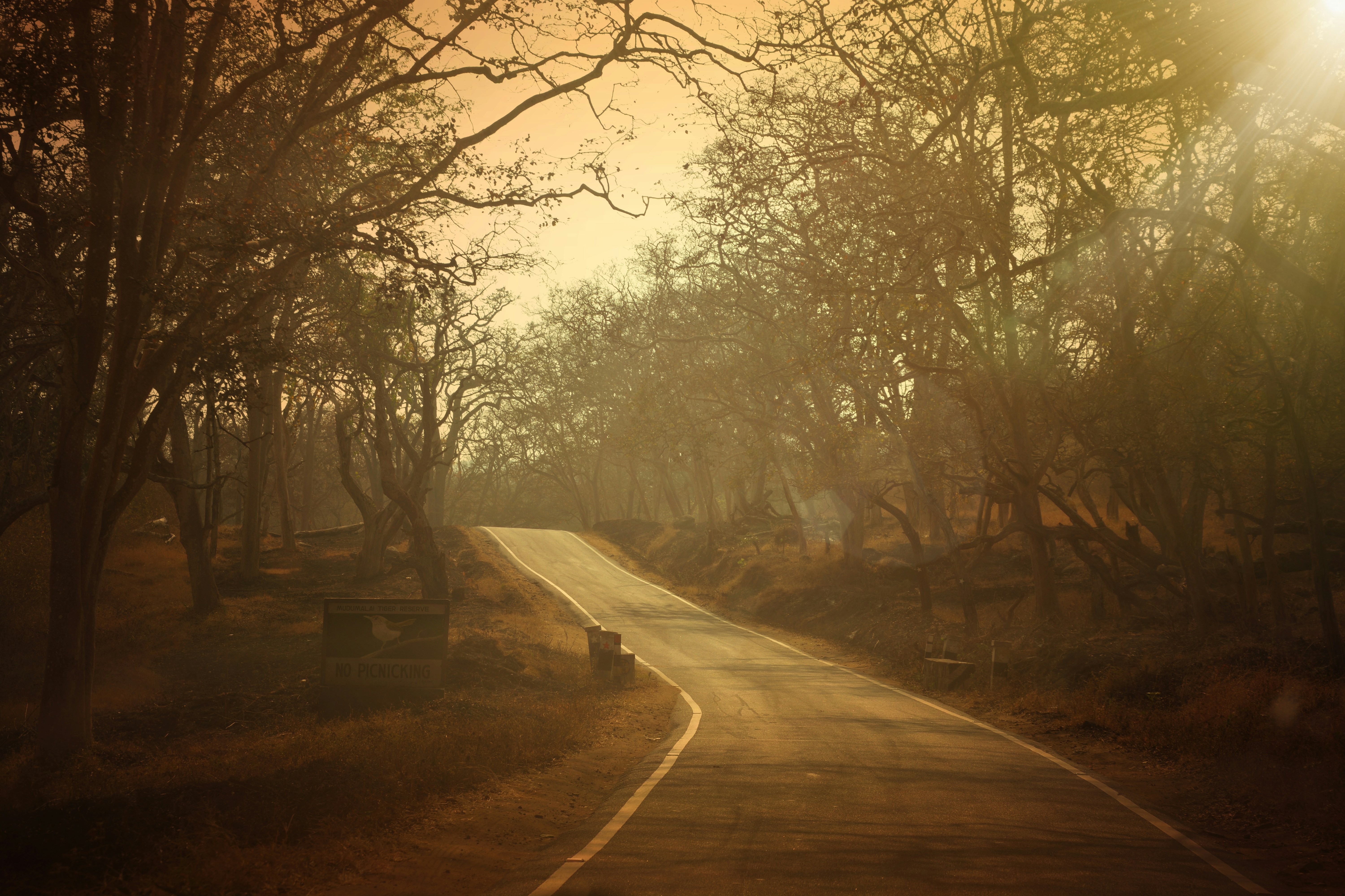 Photo by thefinalshot