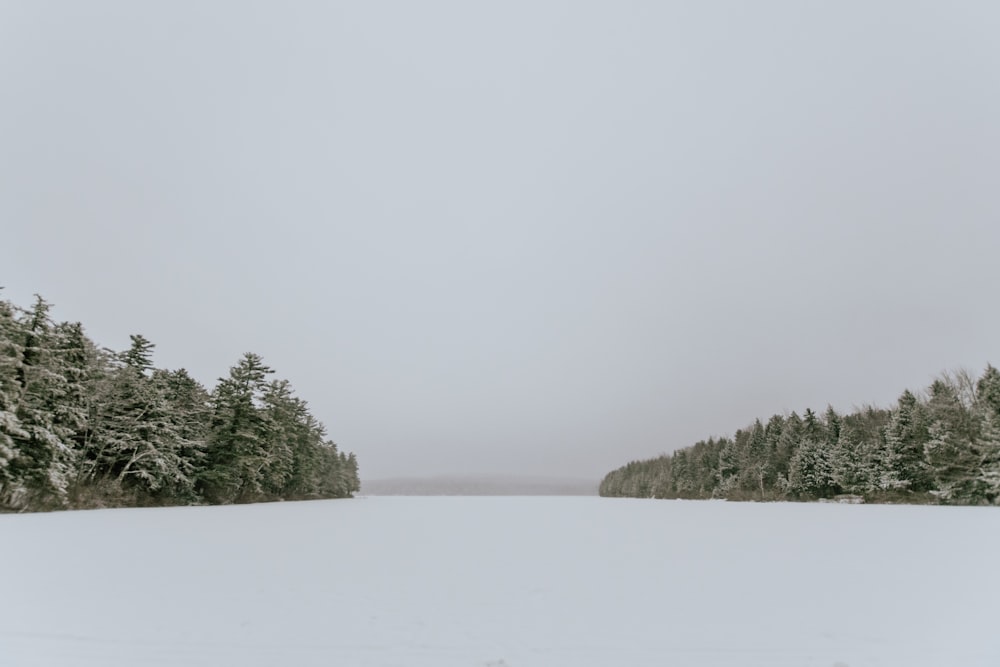 snow covered field in between treeline under white skies