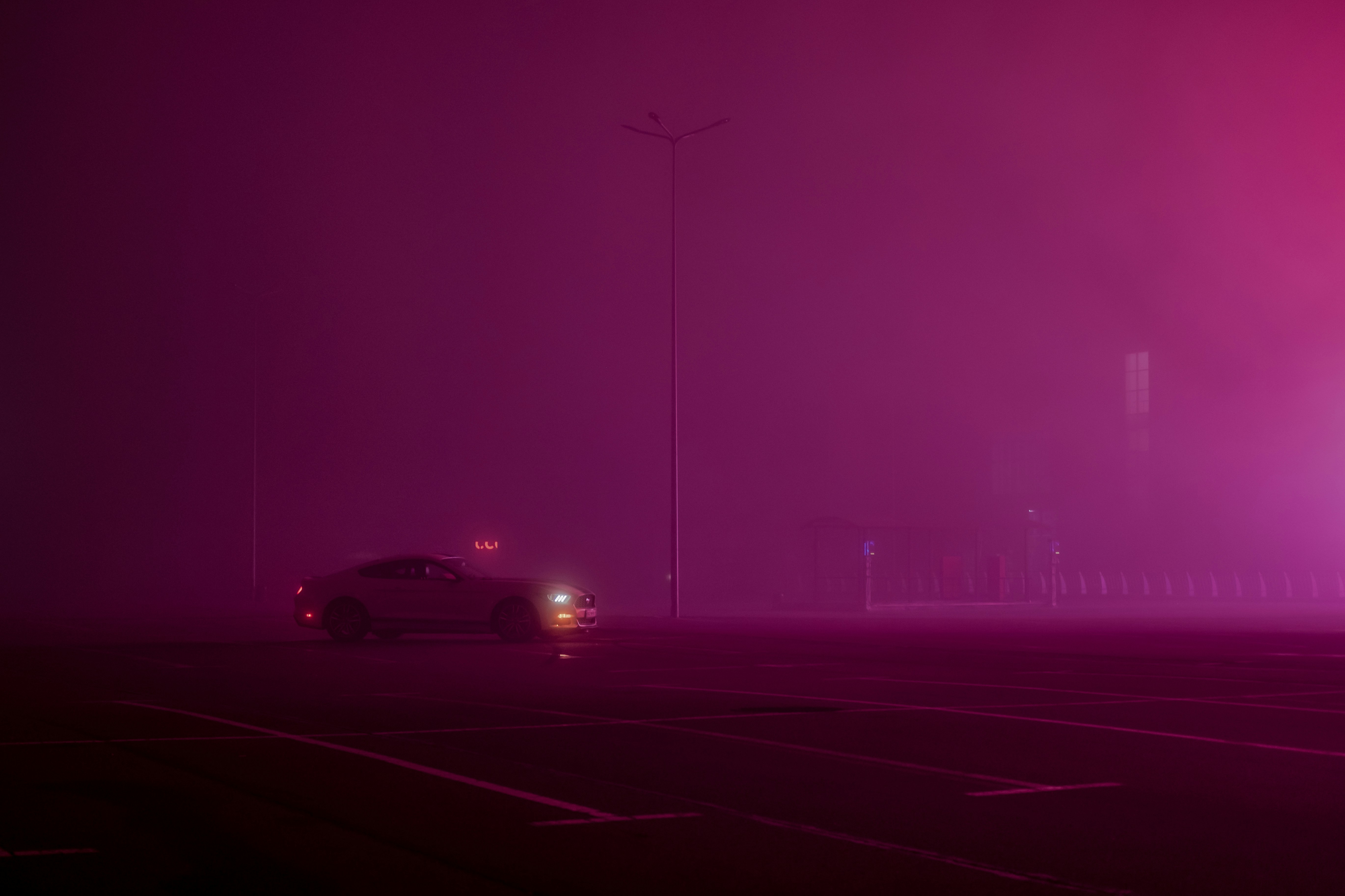 Photo by wonderland8