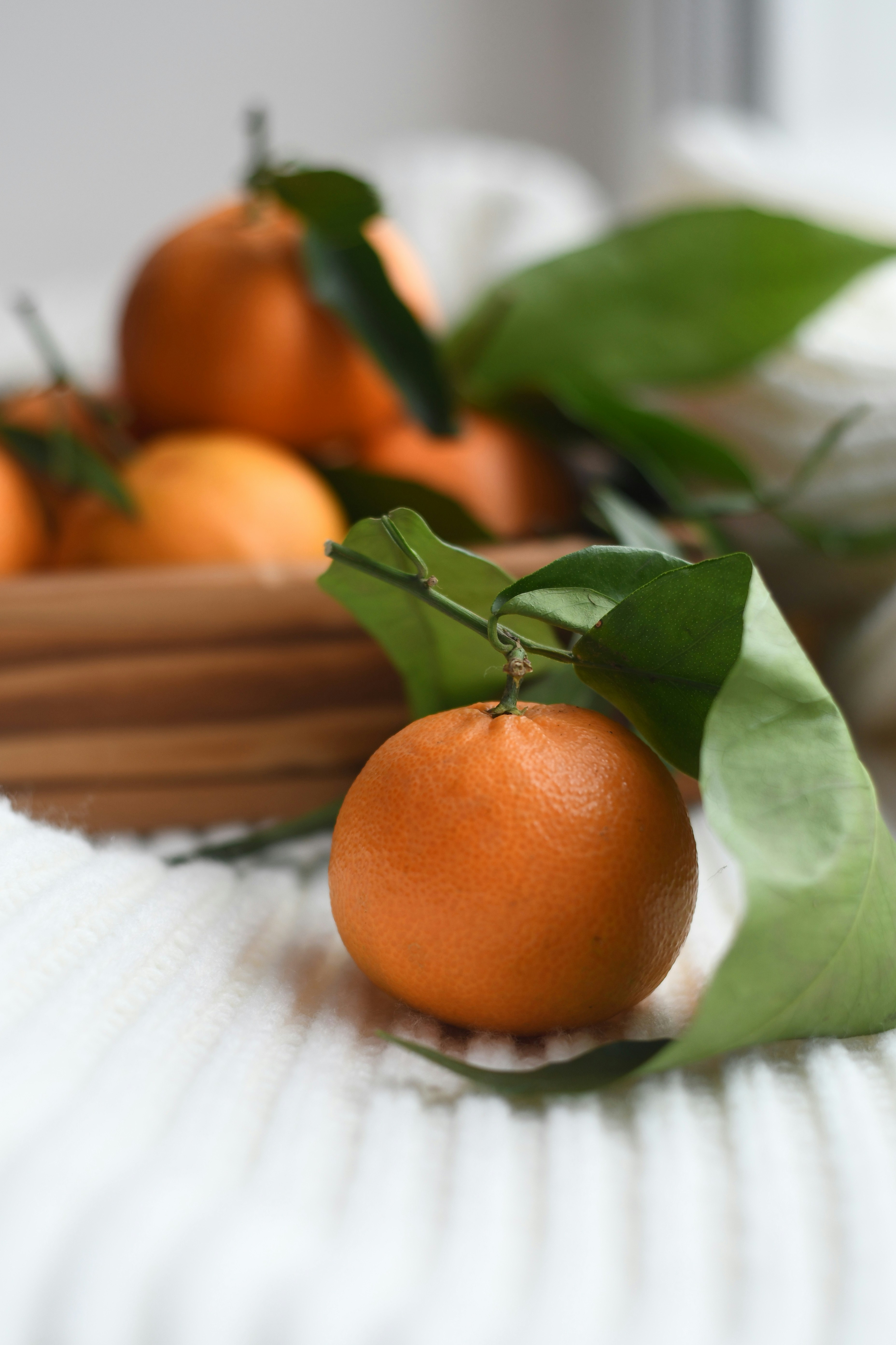 Photo by raspopovamarisha