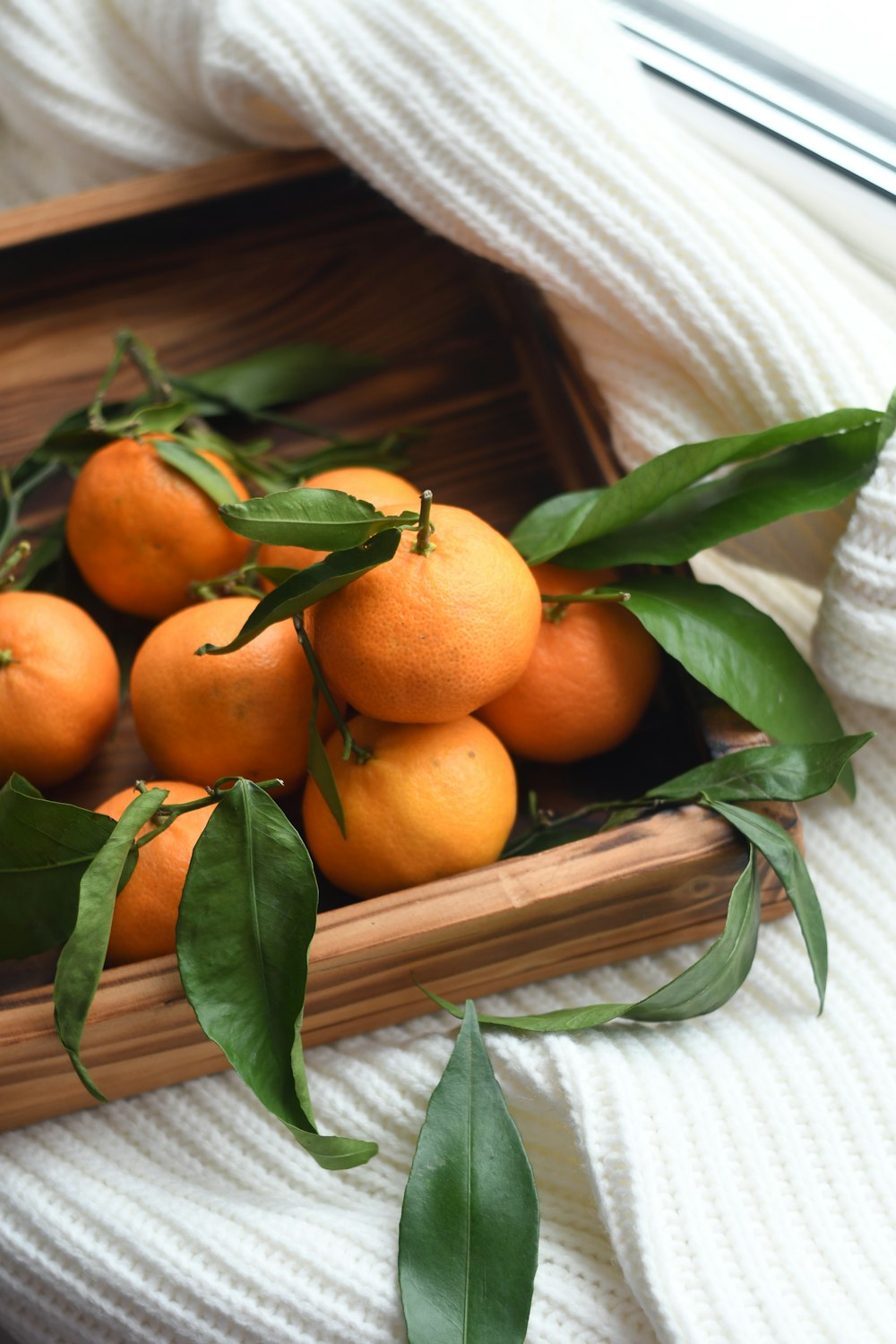 orange fruits on tray